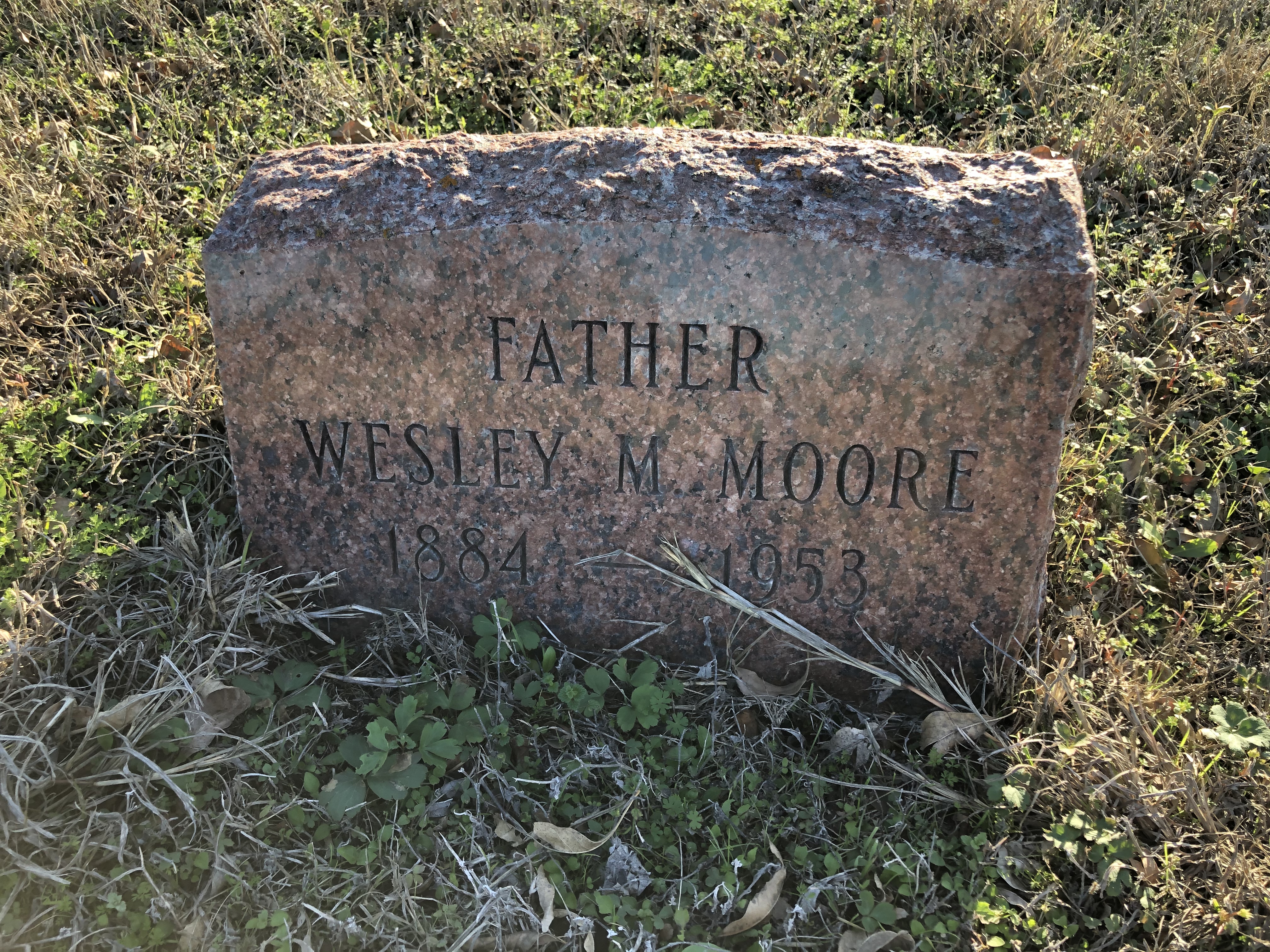 Photographed 24 Jan 2020.