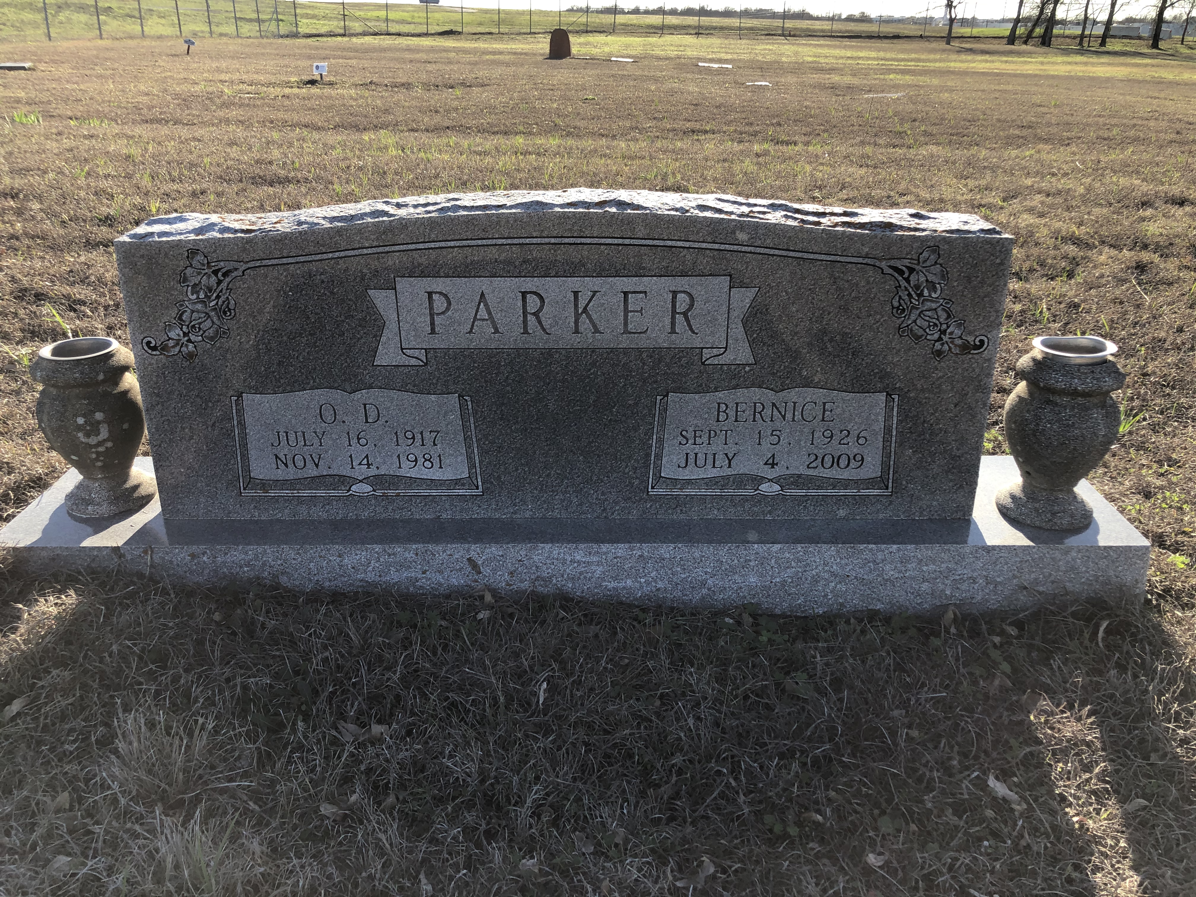 Photographed 24 Jan 2020.