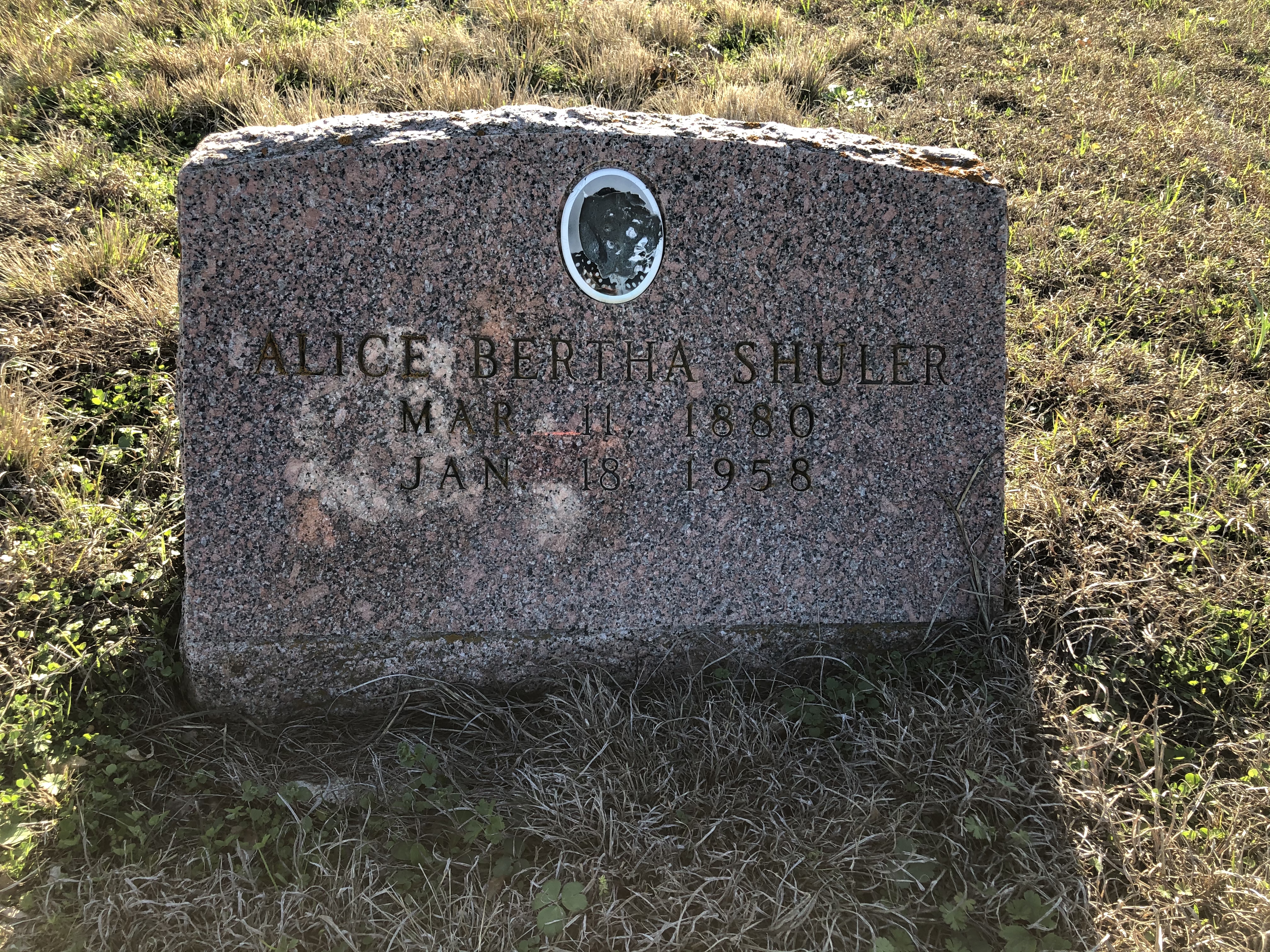 Photographed 24 Jan 2020.