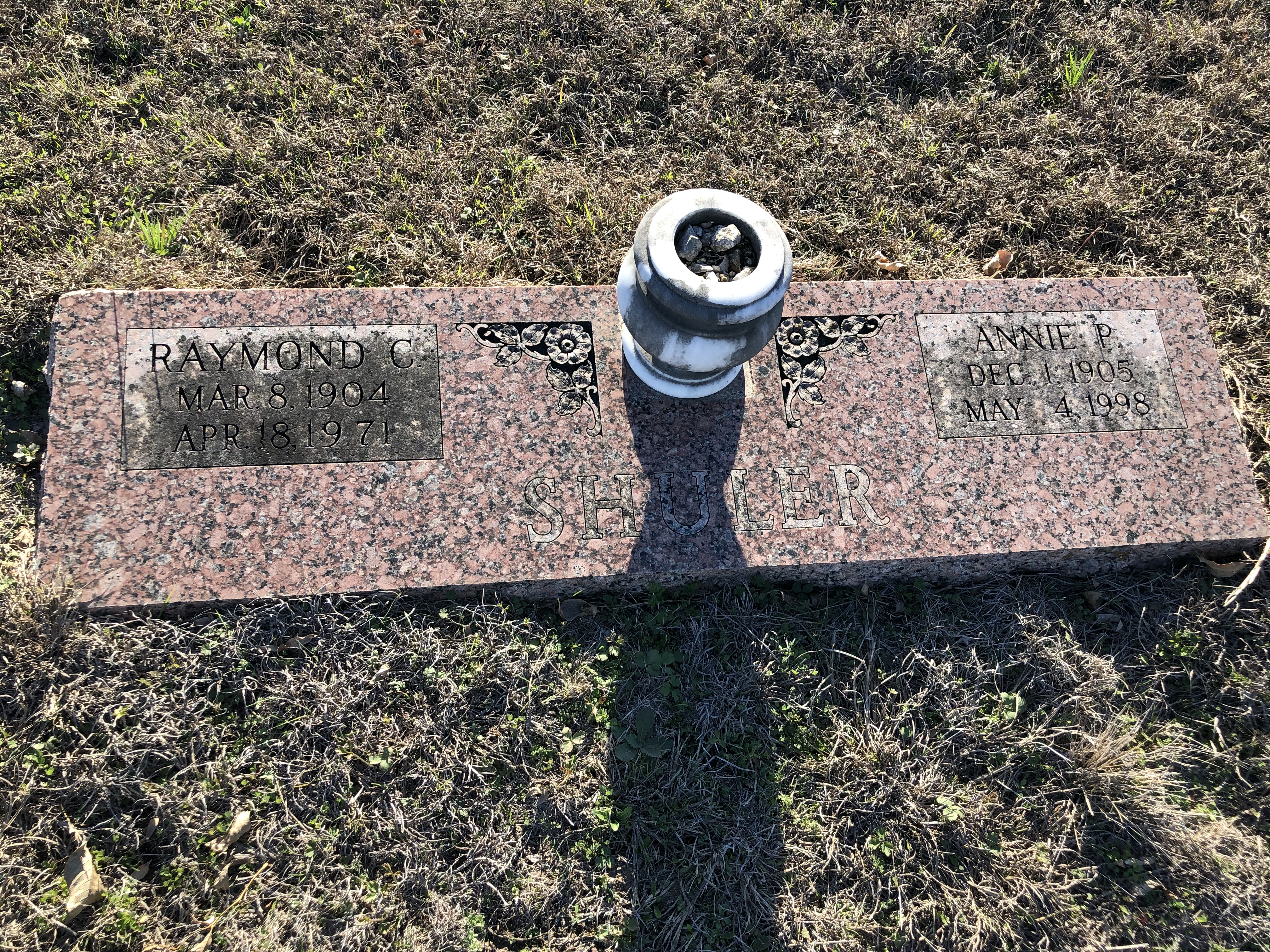 Photographed 24 Jan 2020.