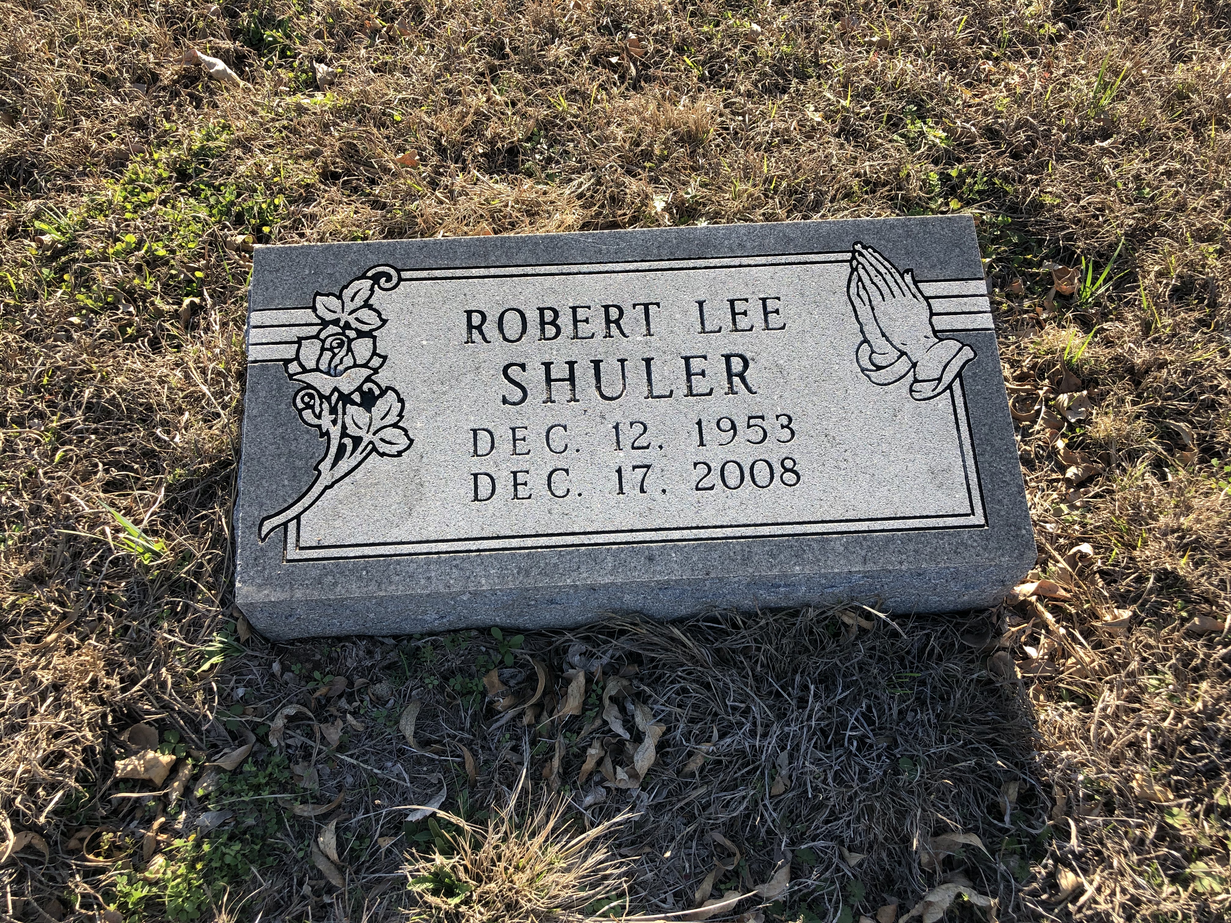 Photographed 24 Jan 2020.