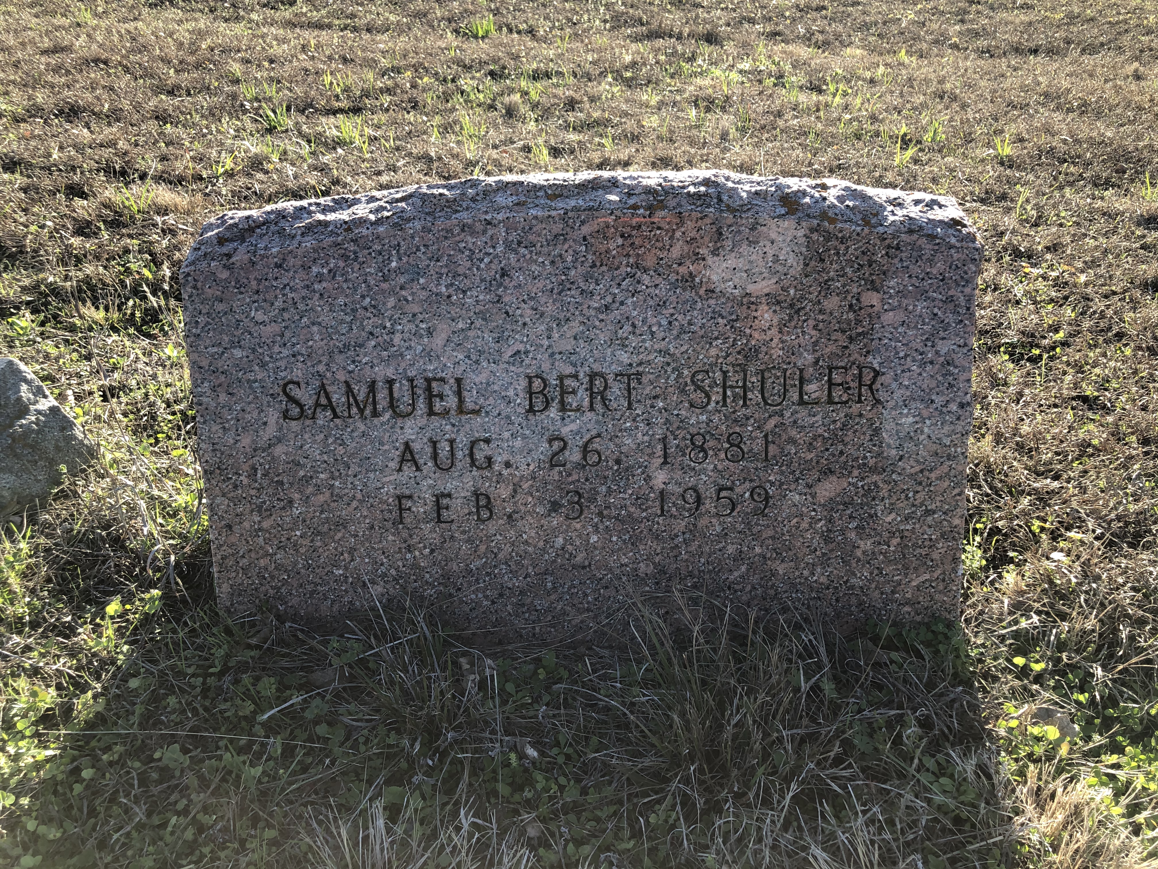 Photographed 24 Jan 2020.