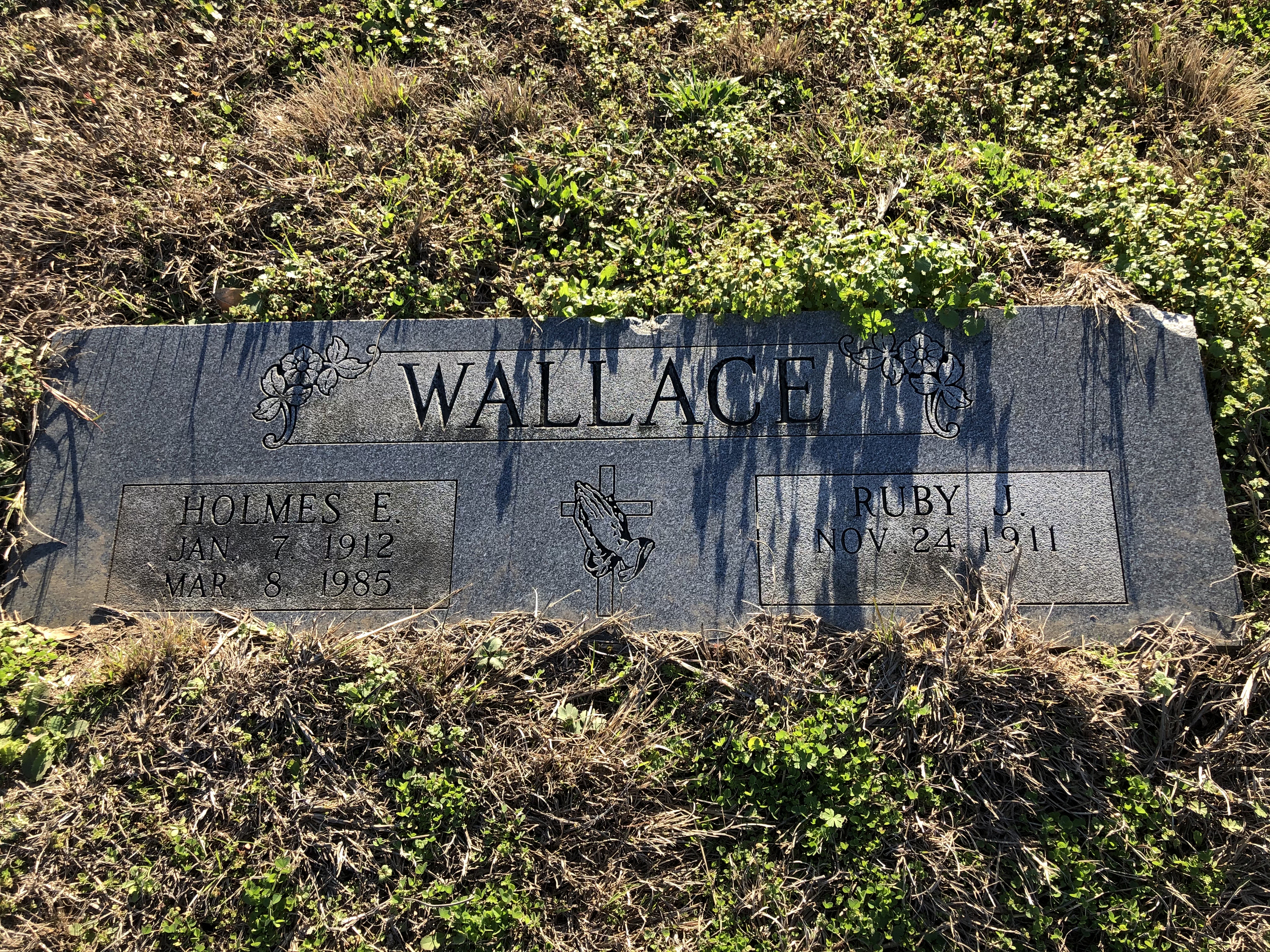 Photographed 24 Jan 2020.