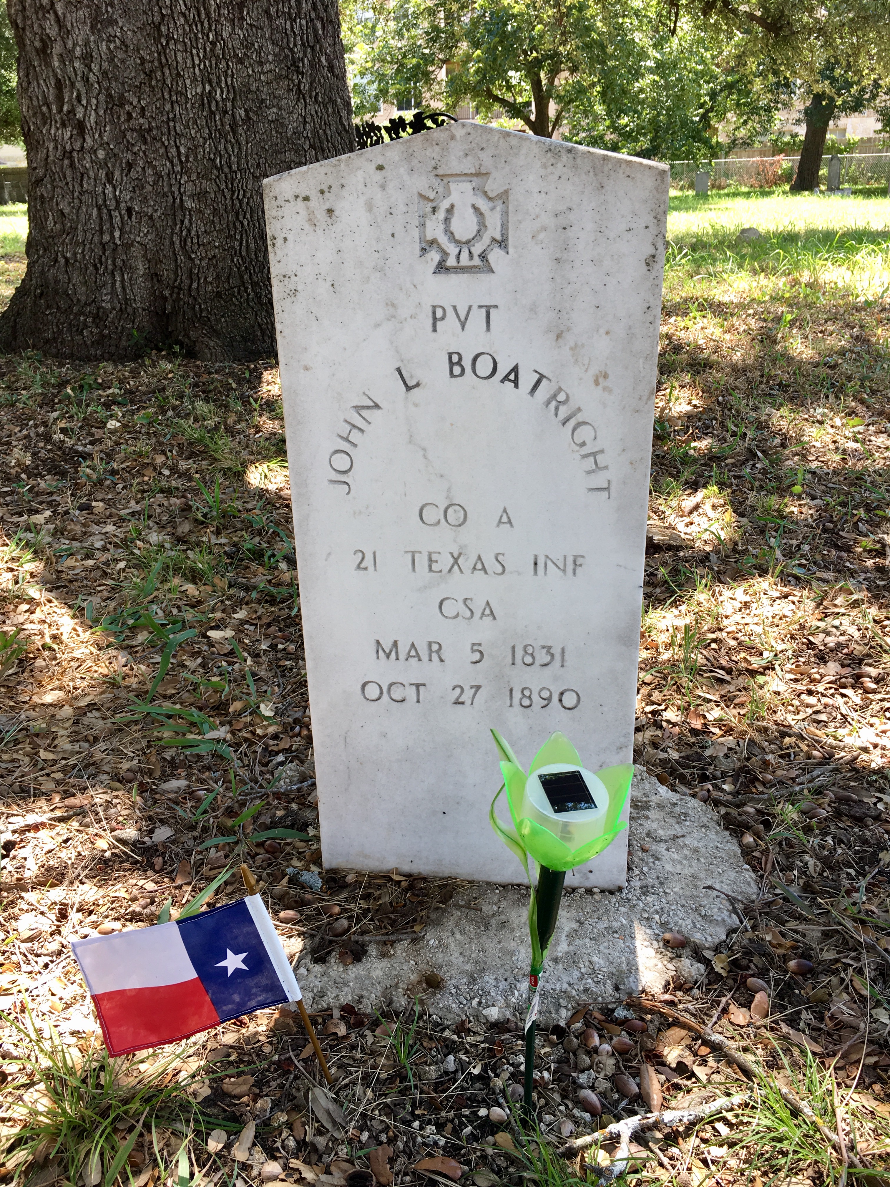 Photographed 18 July 2017.