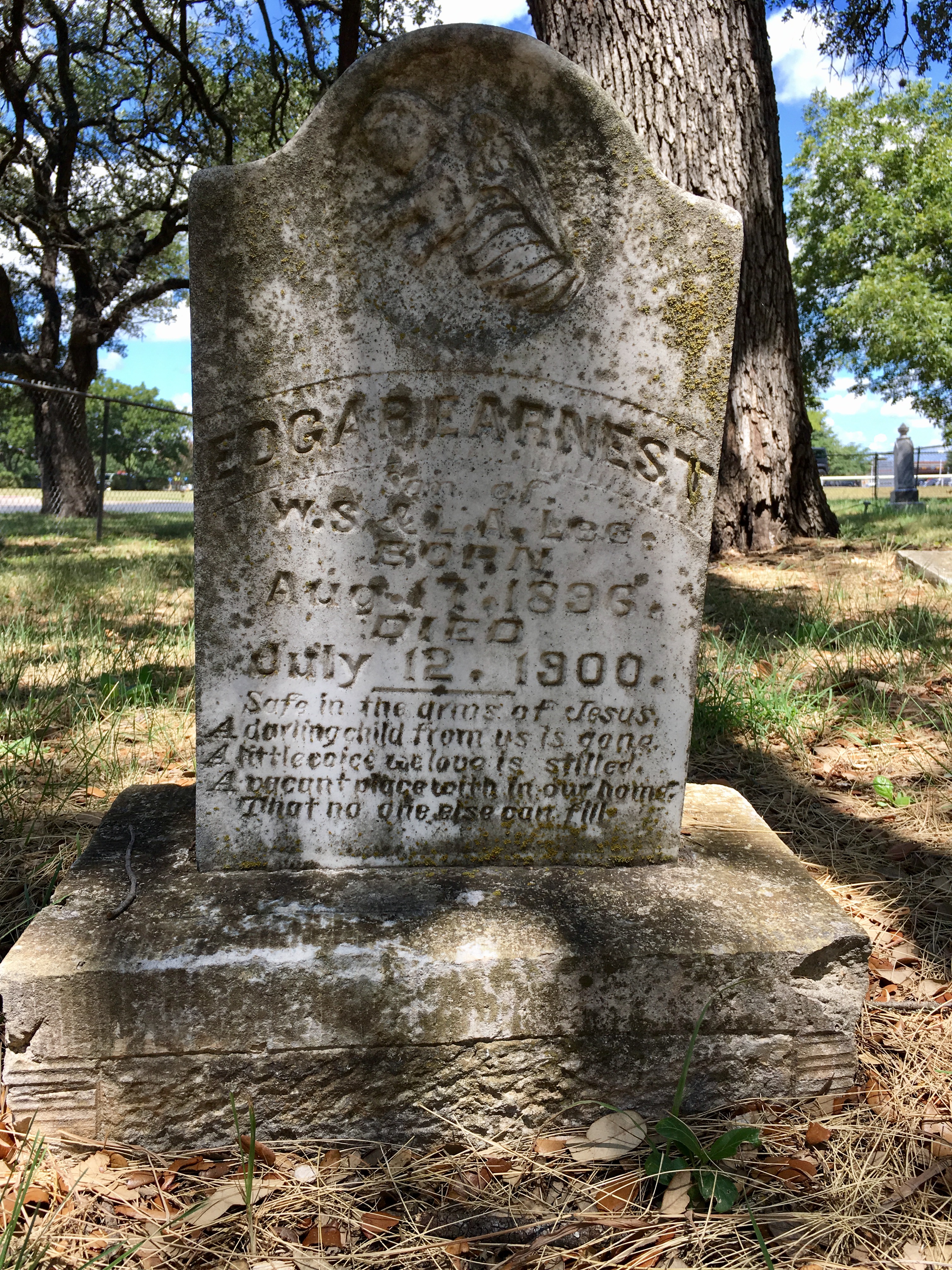 Photographed 18 July 2017.