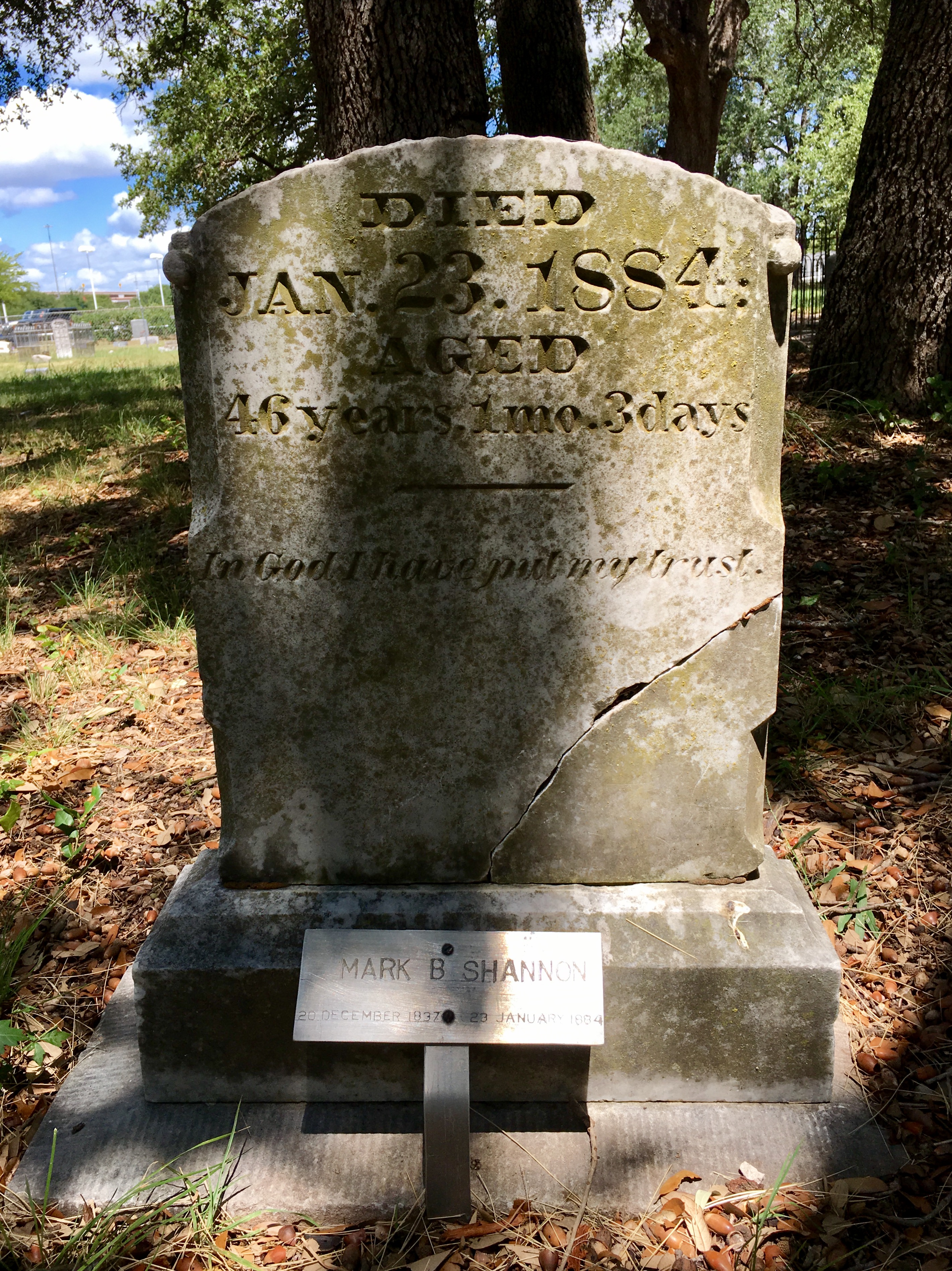 Photographed 18 July 2017.