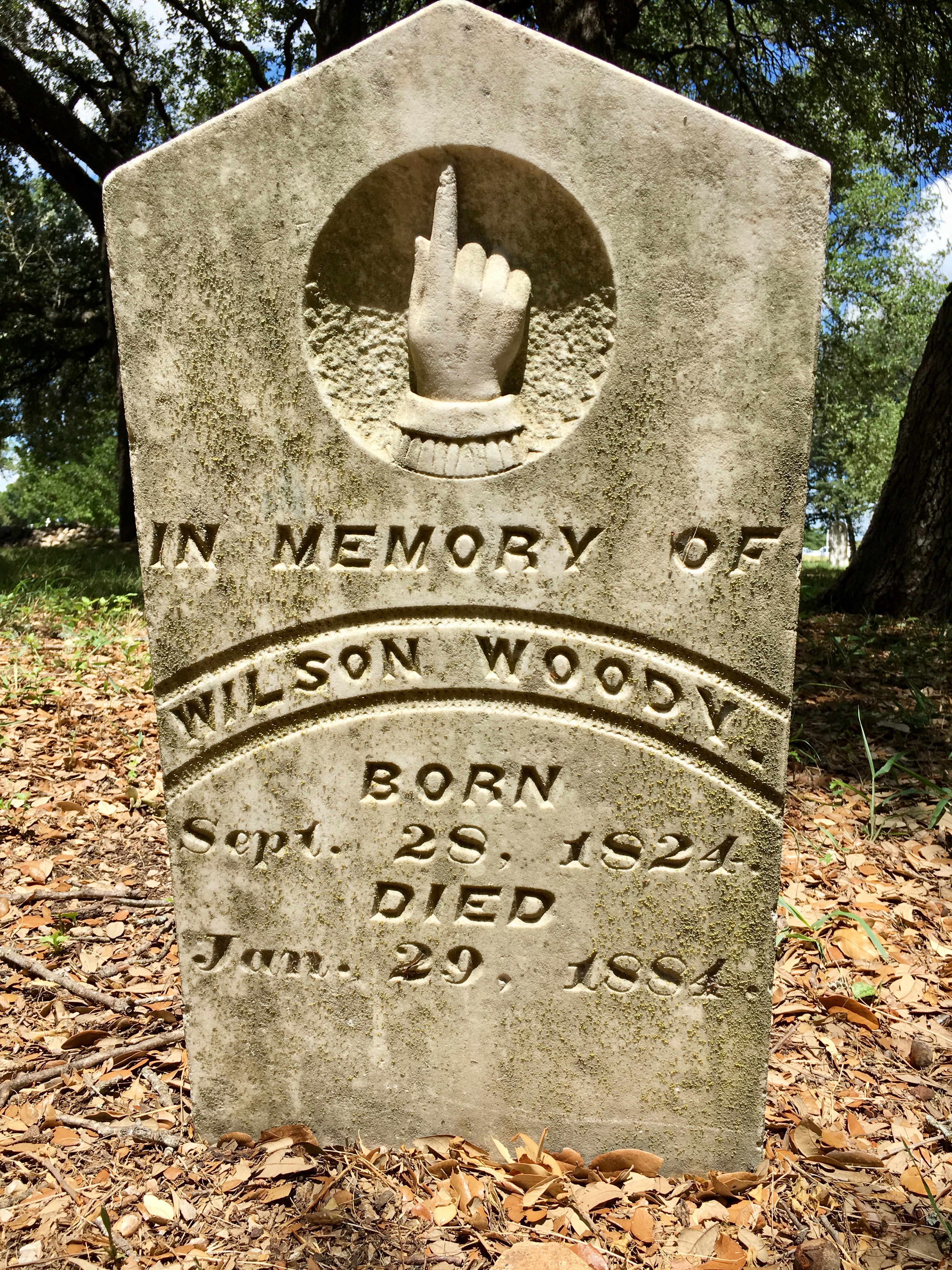 Photographed 18 July 2017.