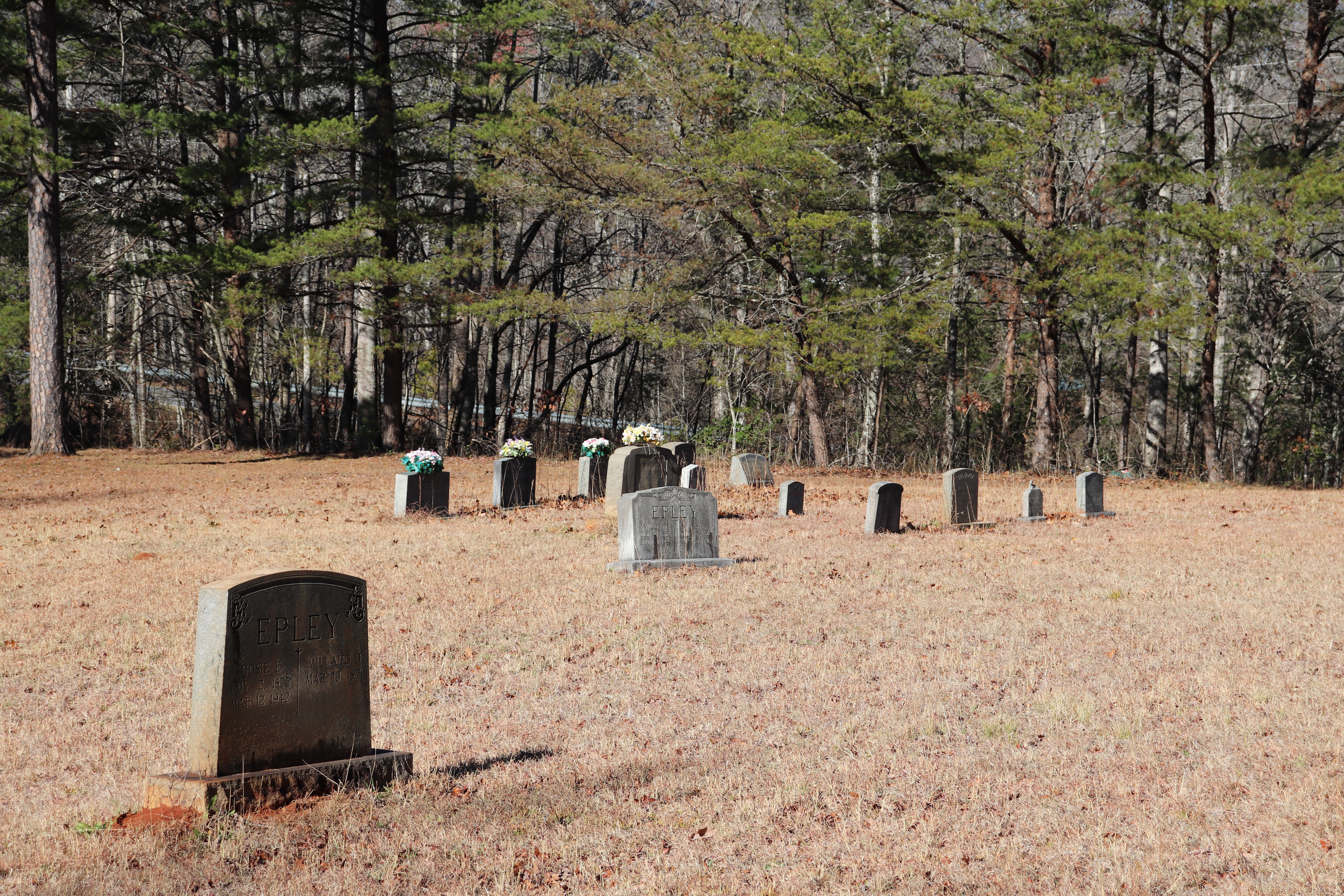 Photographed 30 Dec 2019.