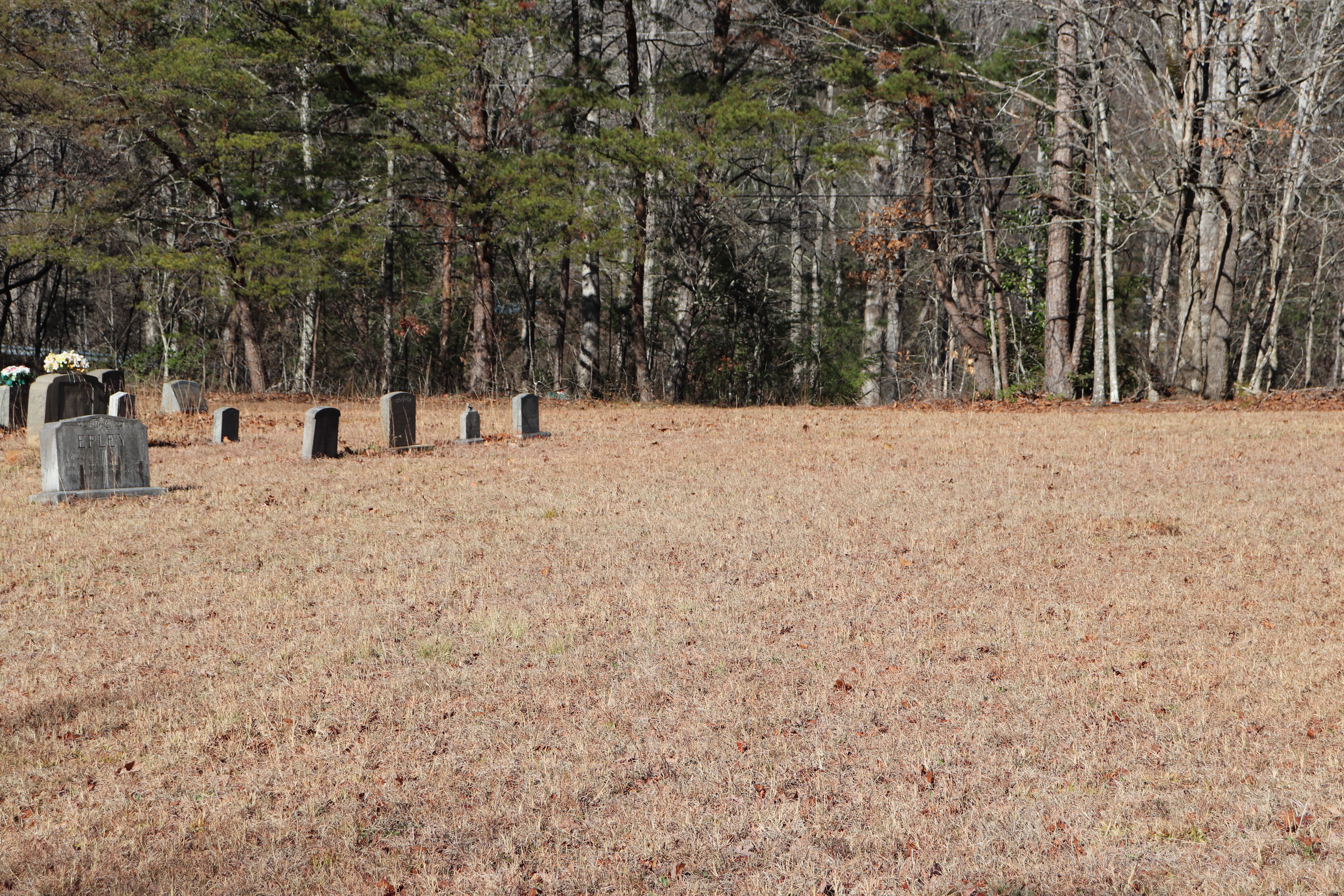 Photographed 30 Dec 2019.