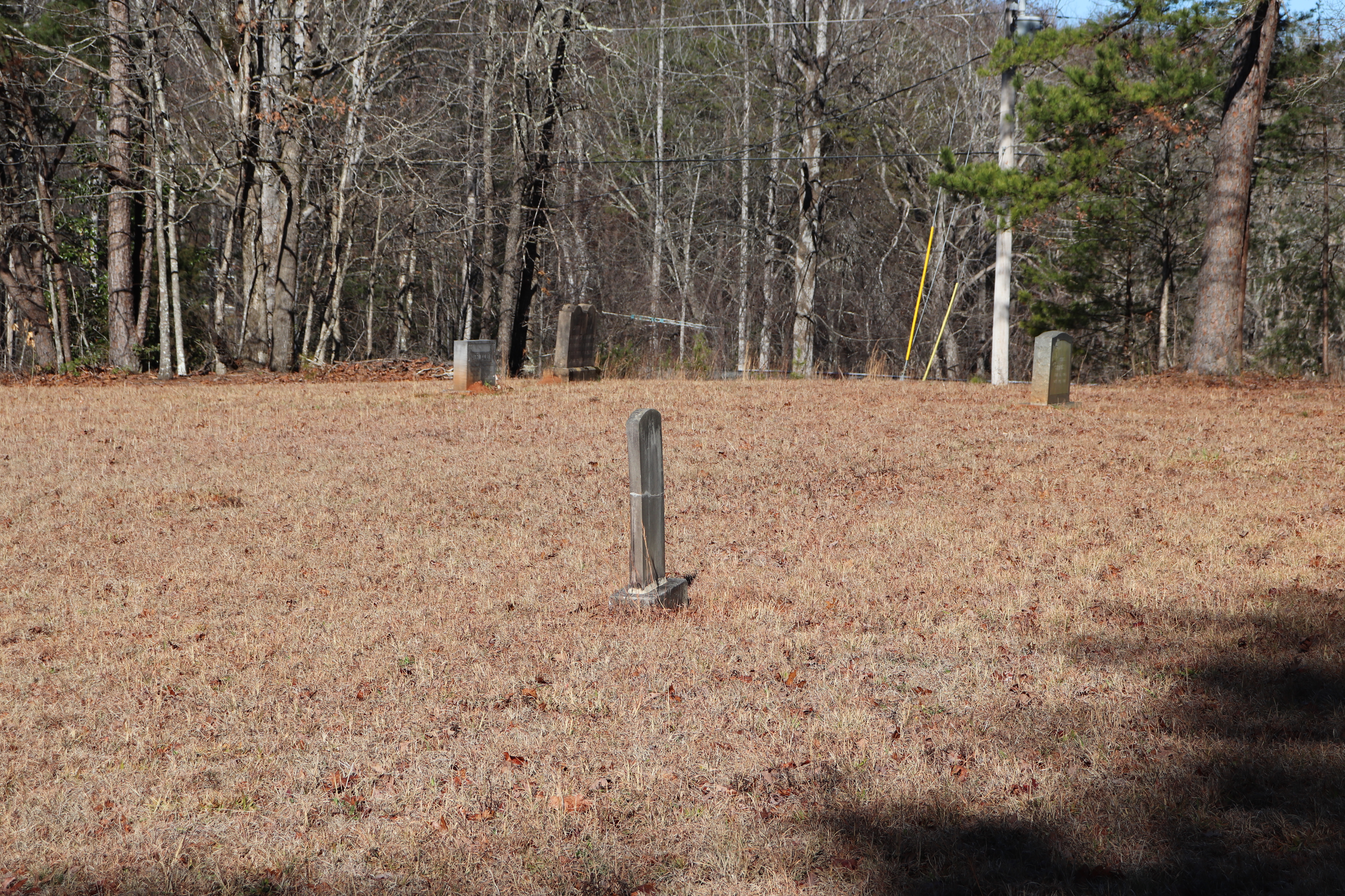 Photographed 30 Dec 2019.