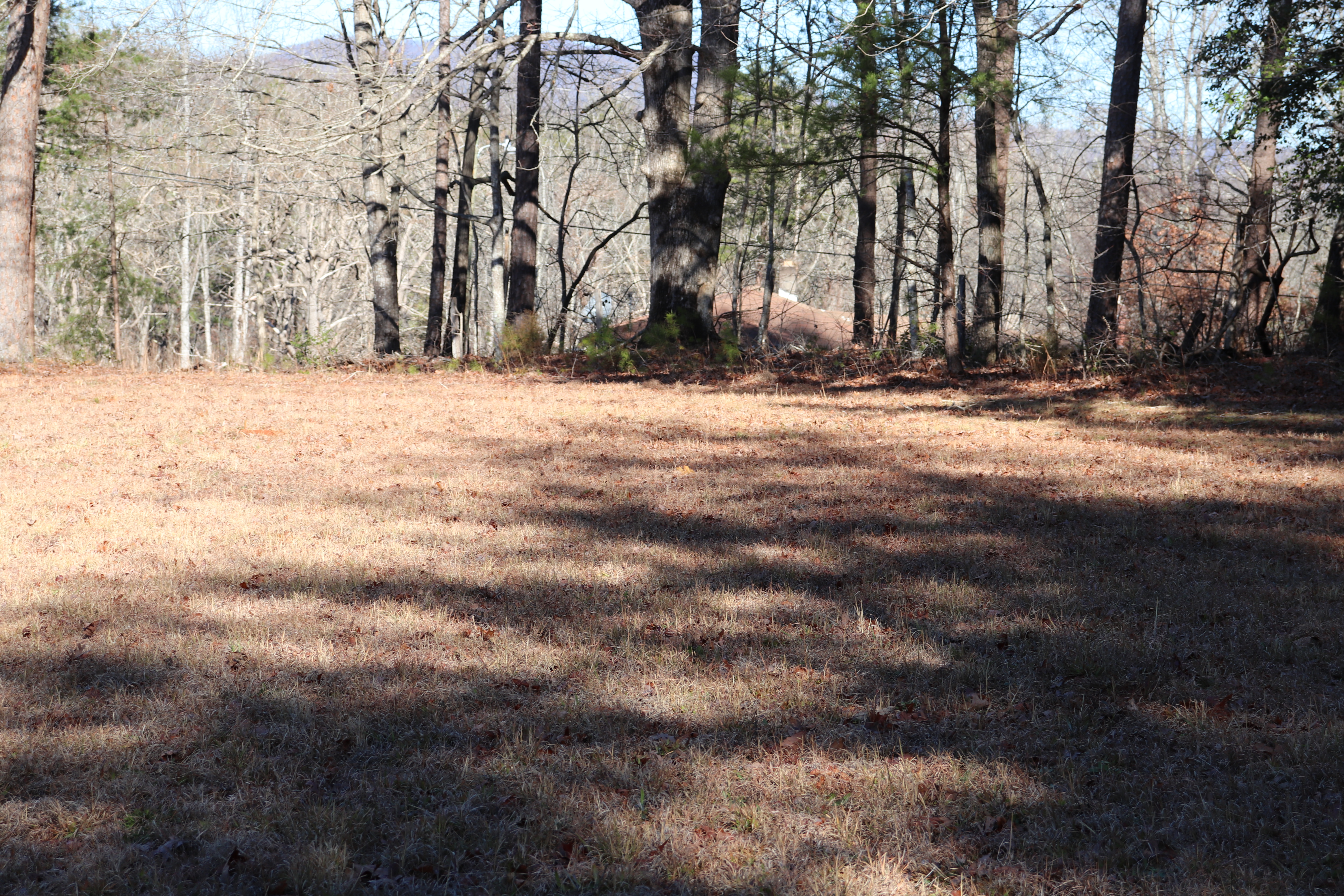 Photographed 30 Dec 2019.