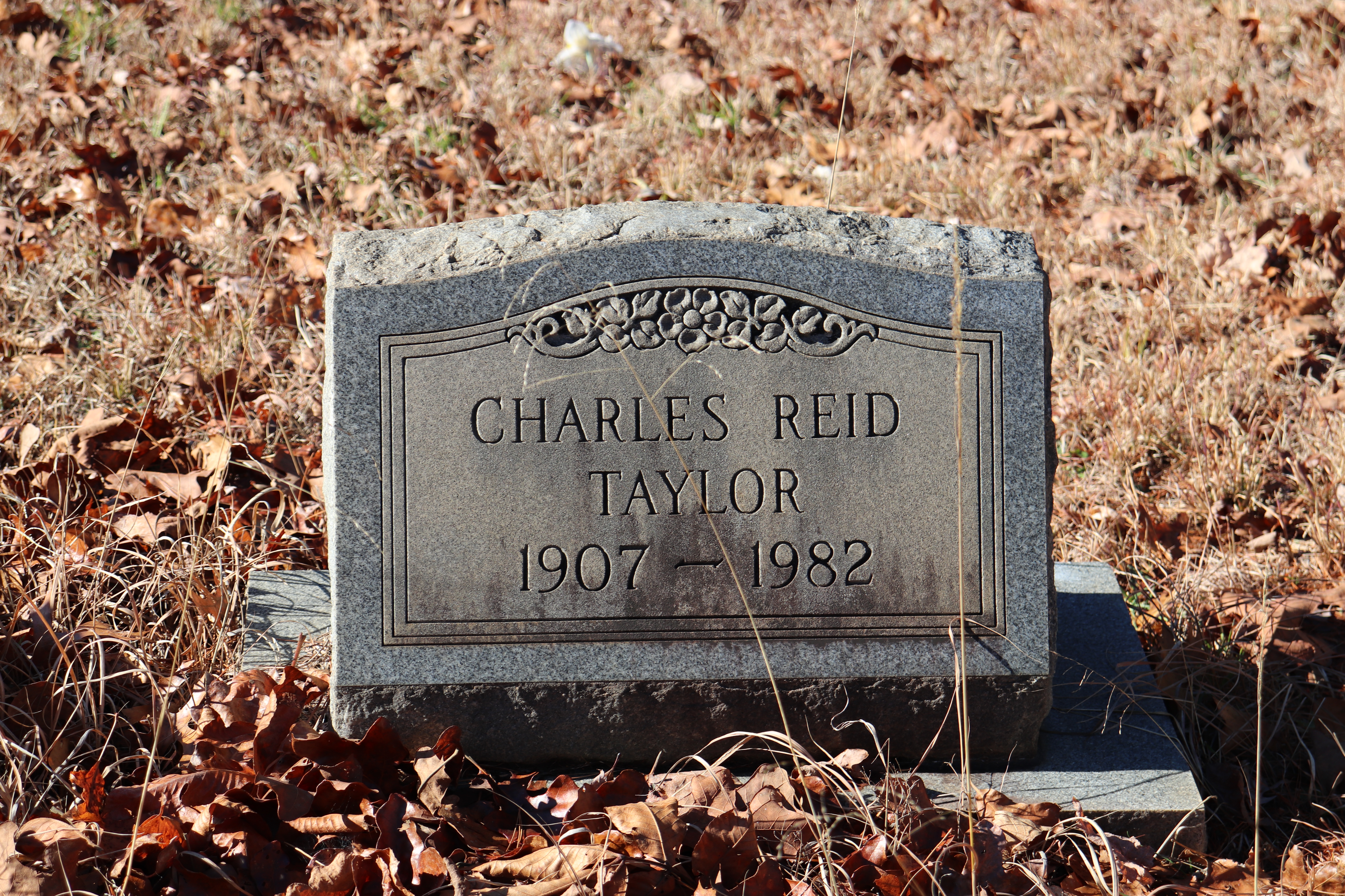 Photographed 30 Dec 2019.