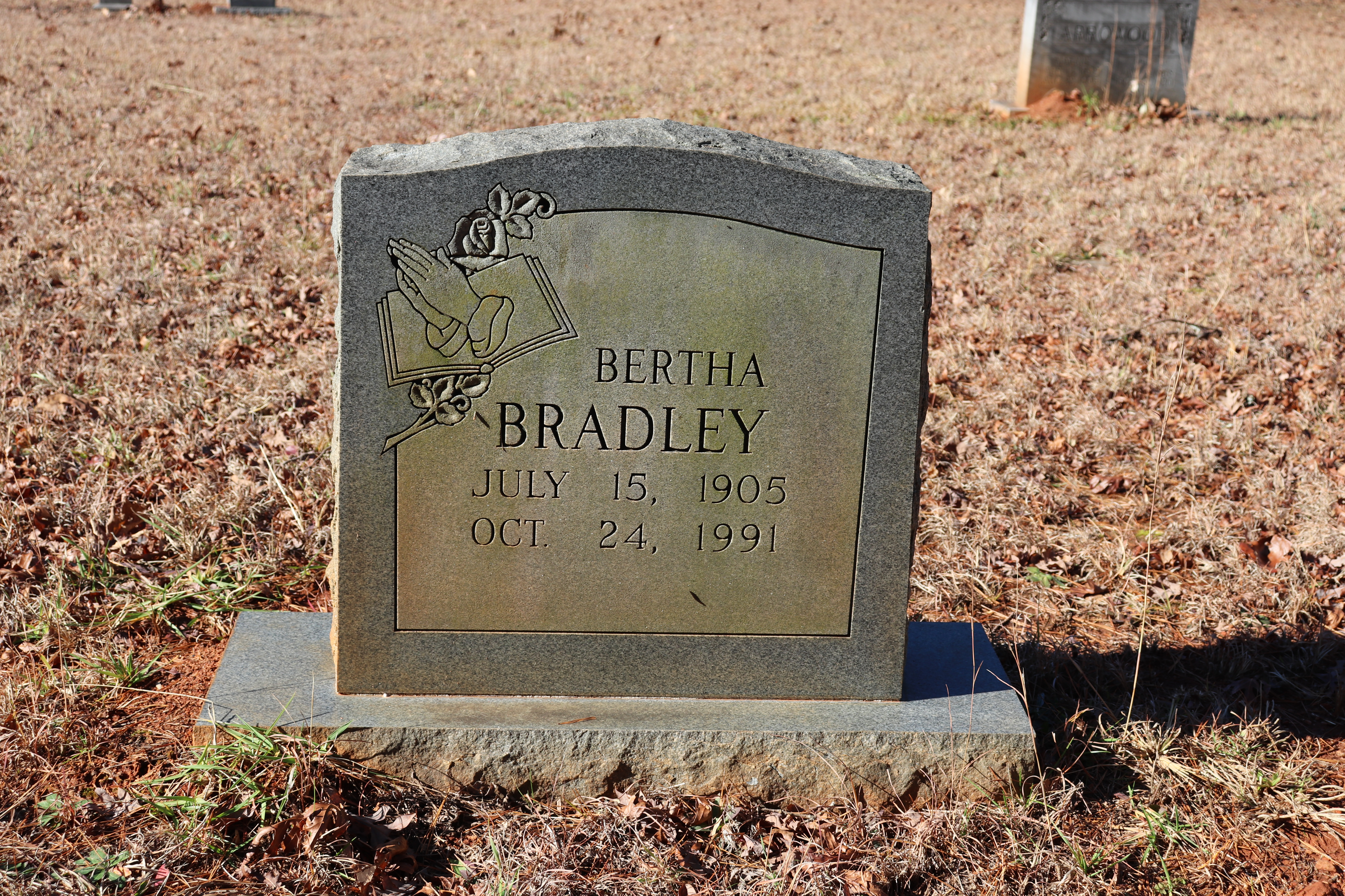 Photographed 30 Dec 2019.