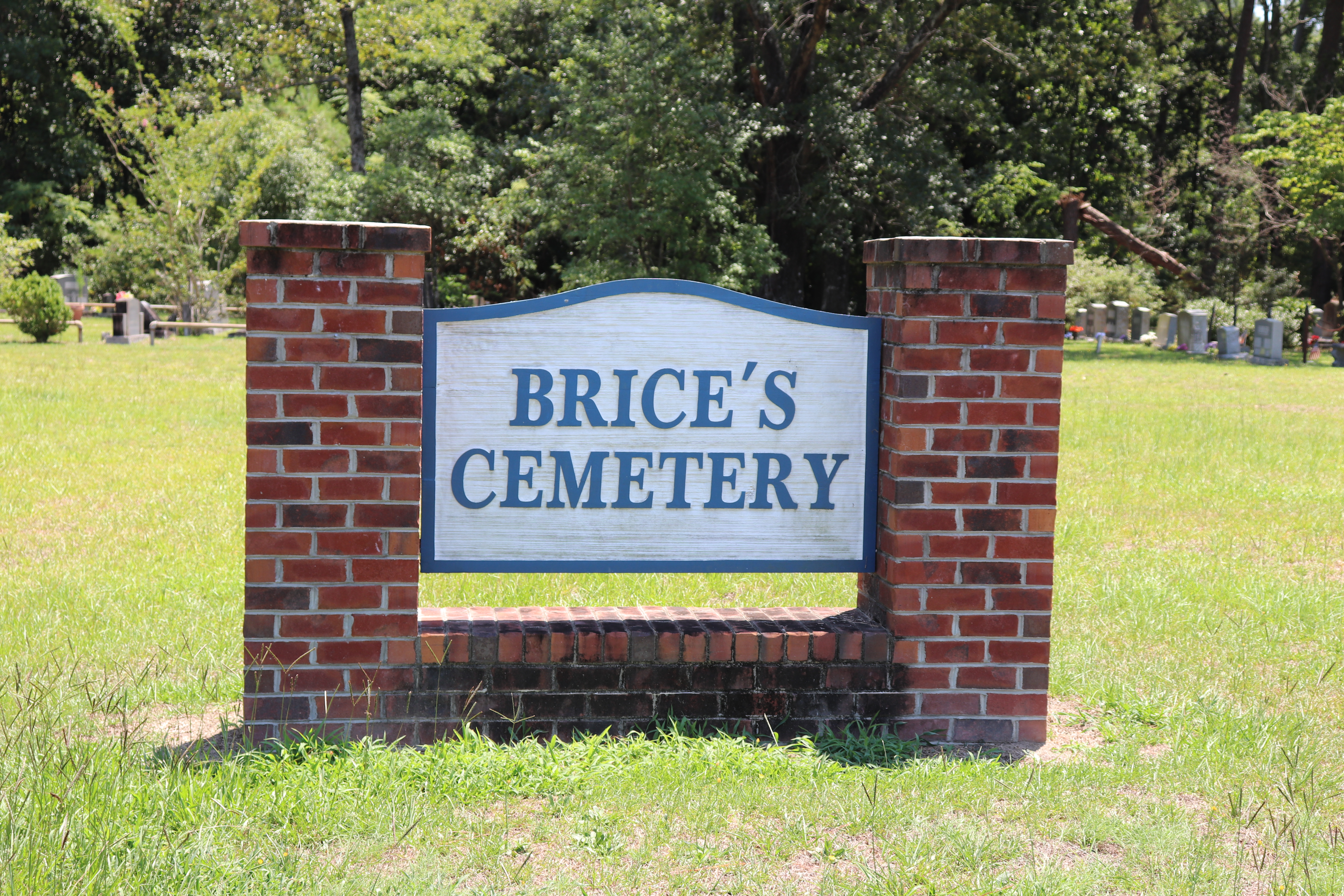 Photographed 27 Jul 2019.