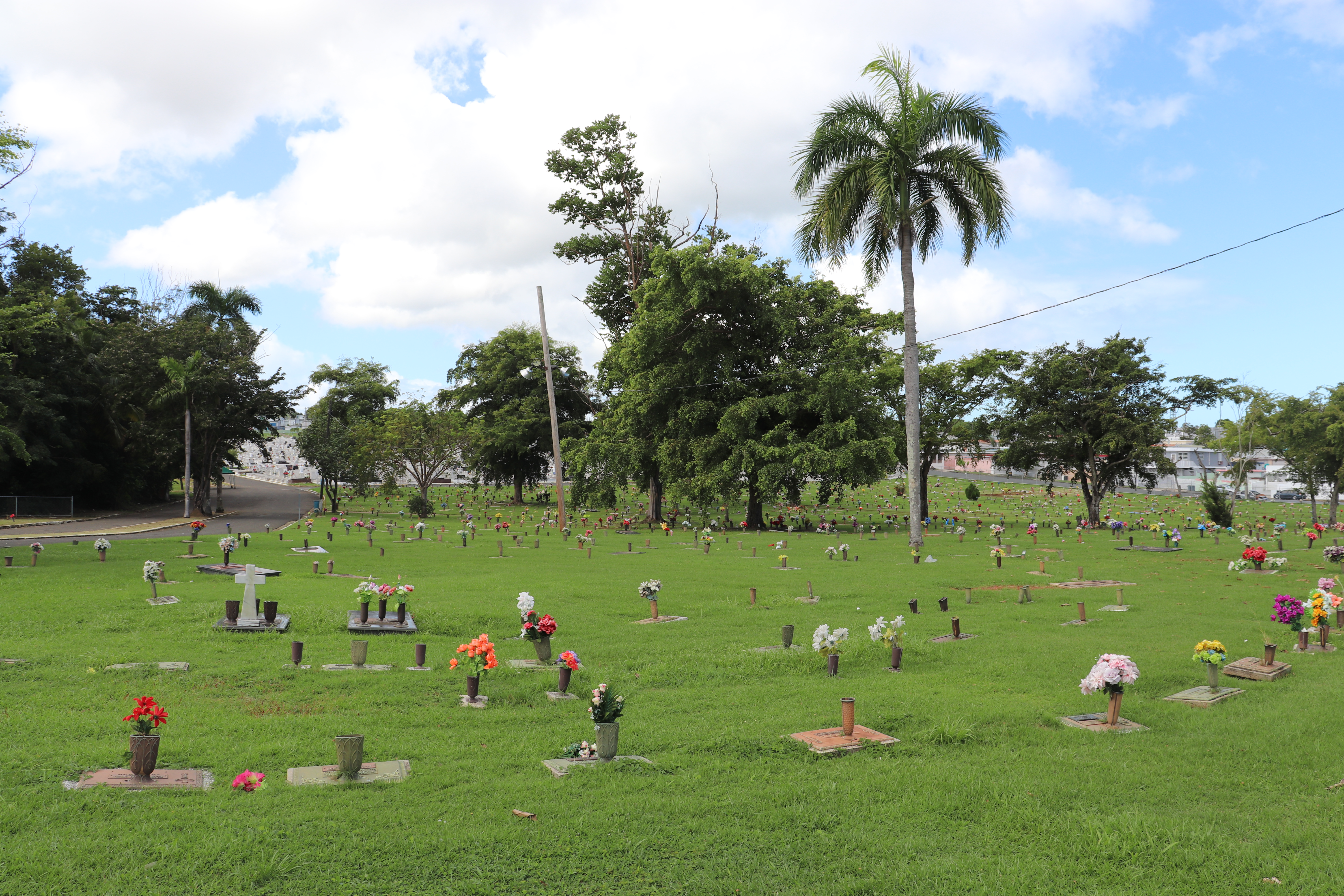 Photographed 14 Dec 2019.