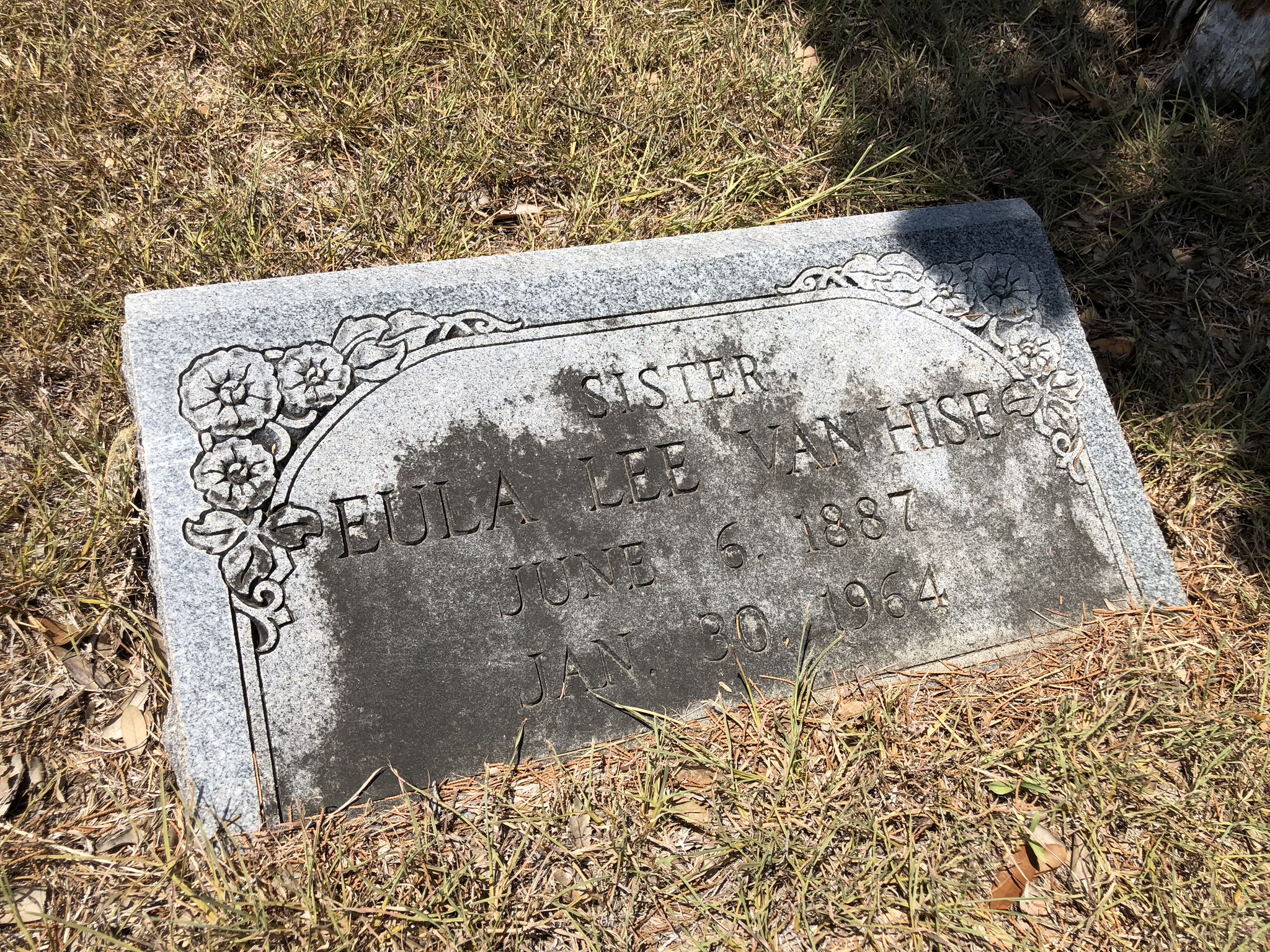 Photographed 18 Aug 2018.