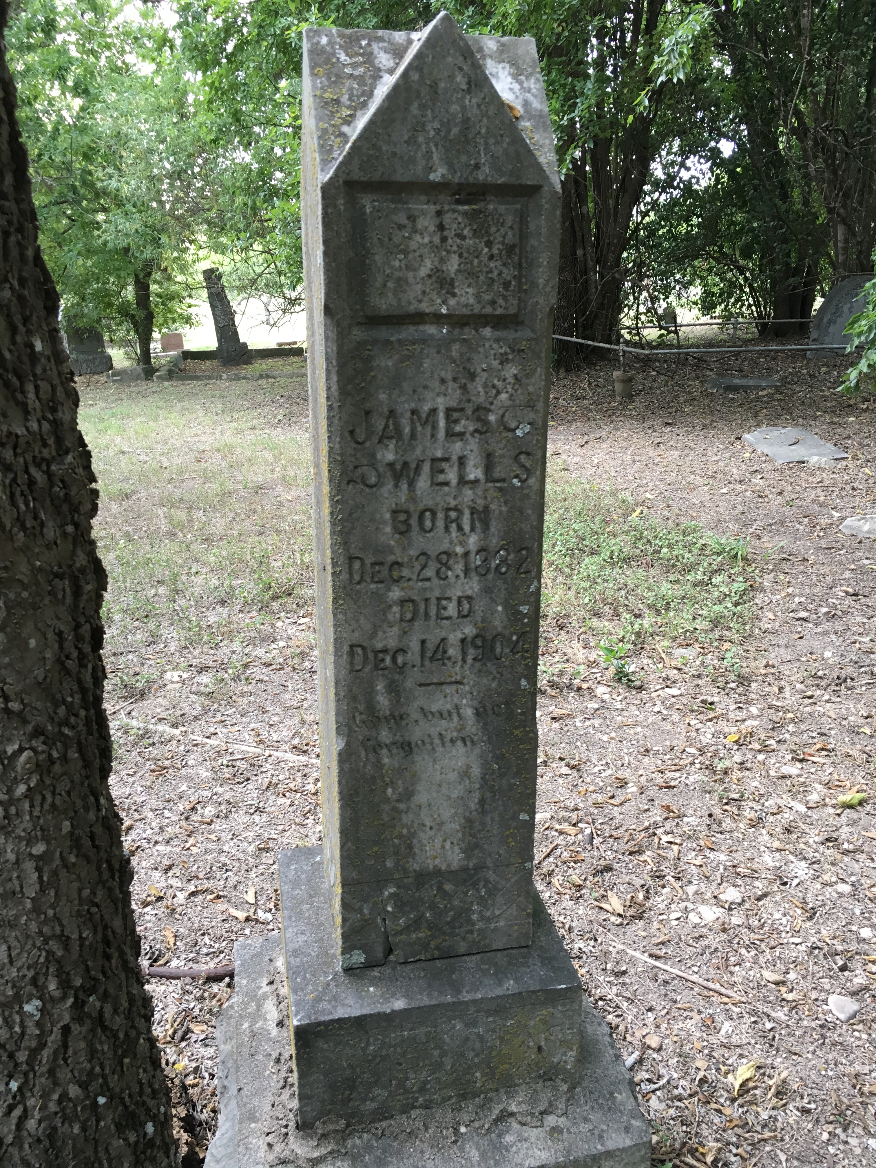 Photographed 15 Jul 2017.