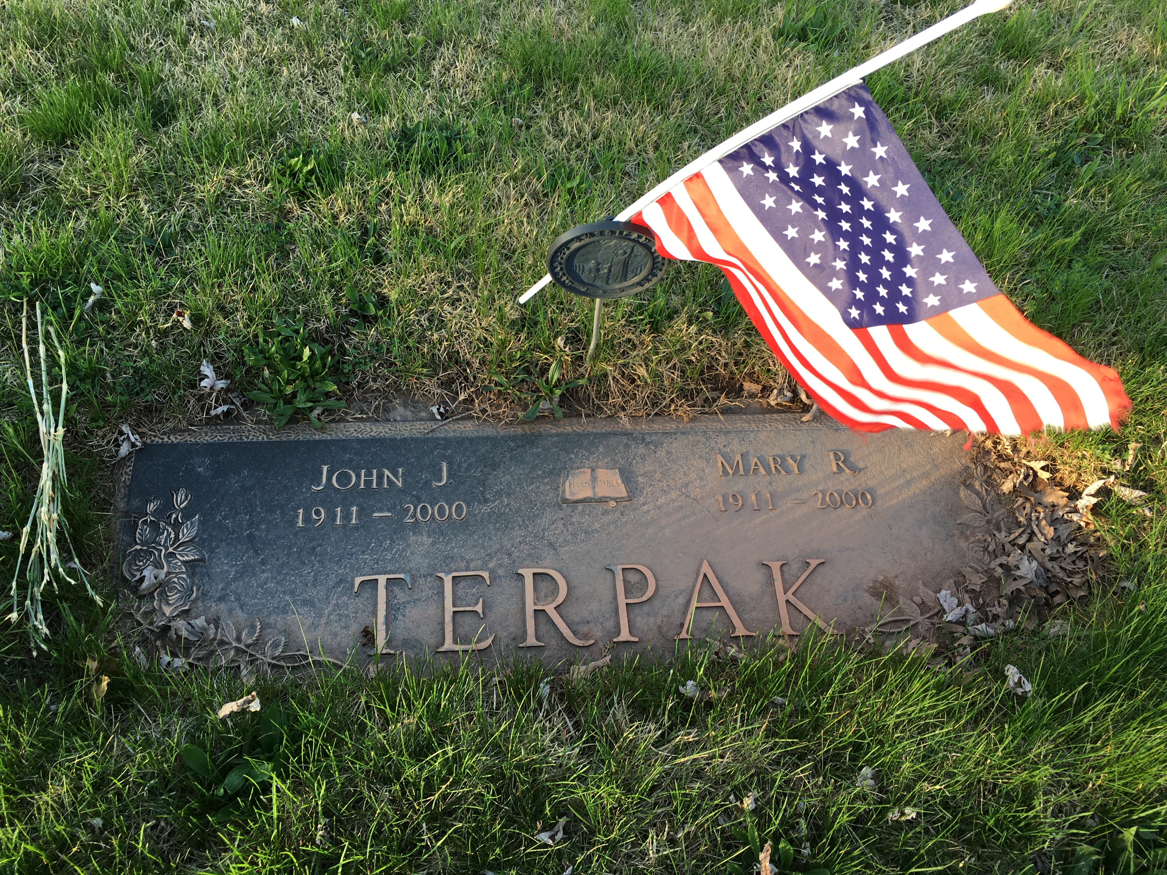 Photographed 17 Apr 2017.