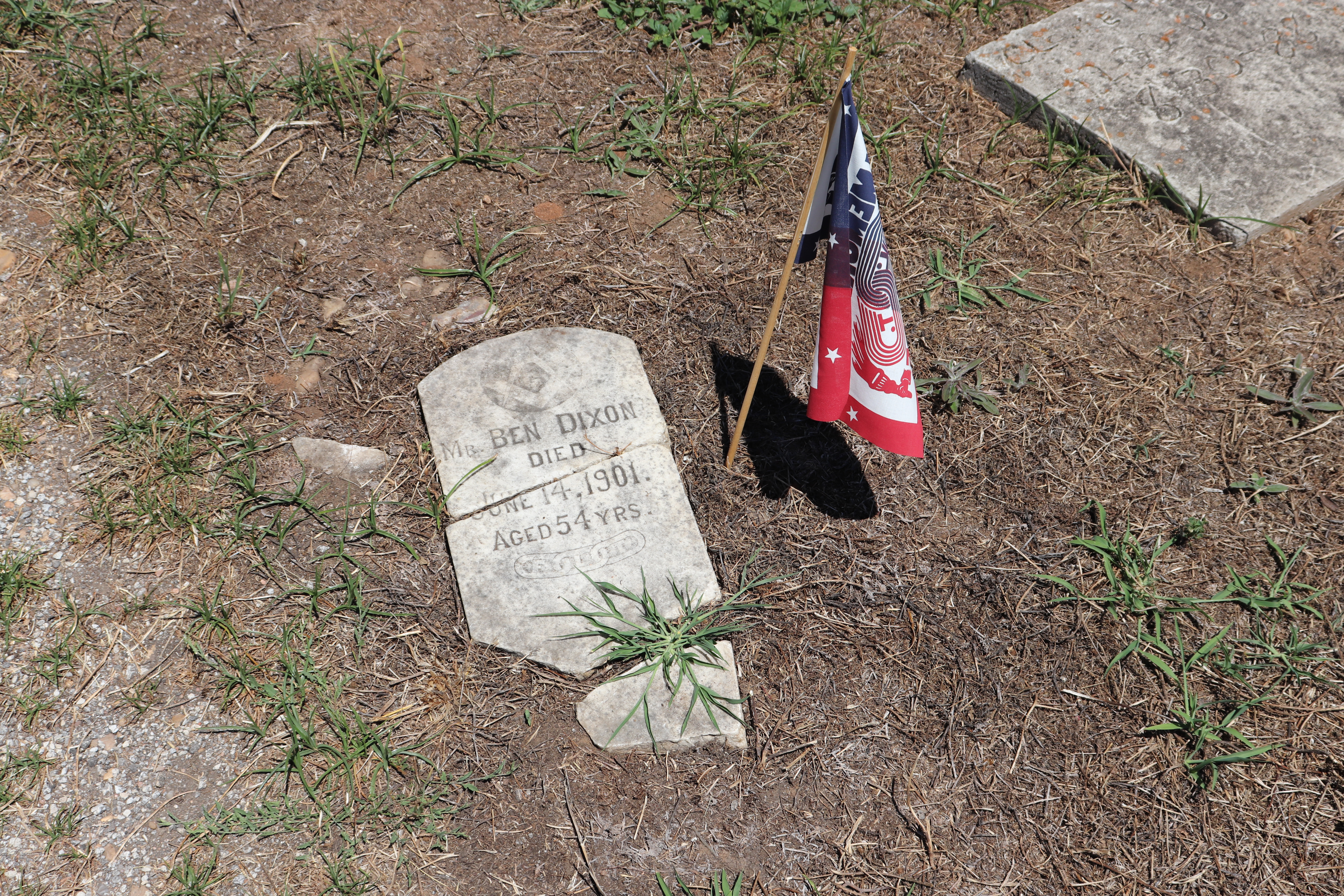 Photographed 11 Jun 2020.