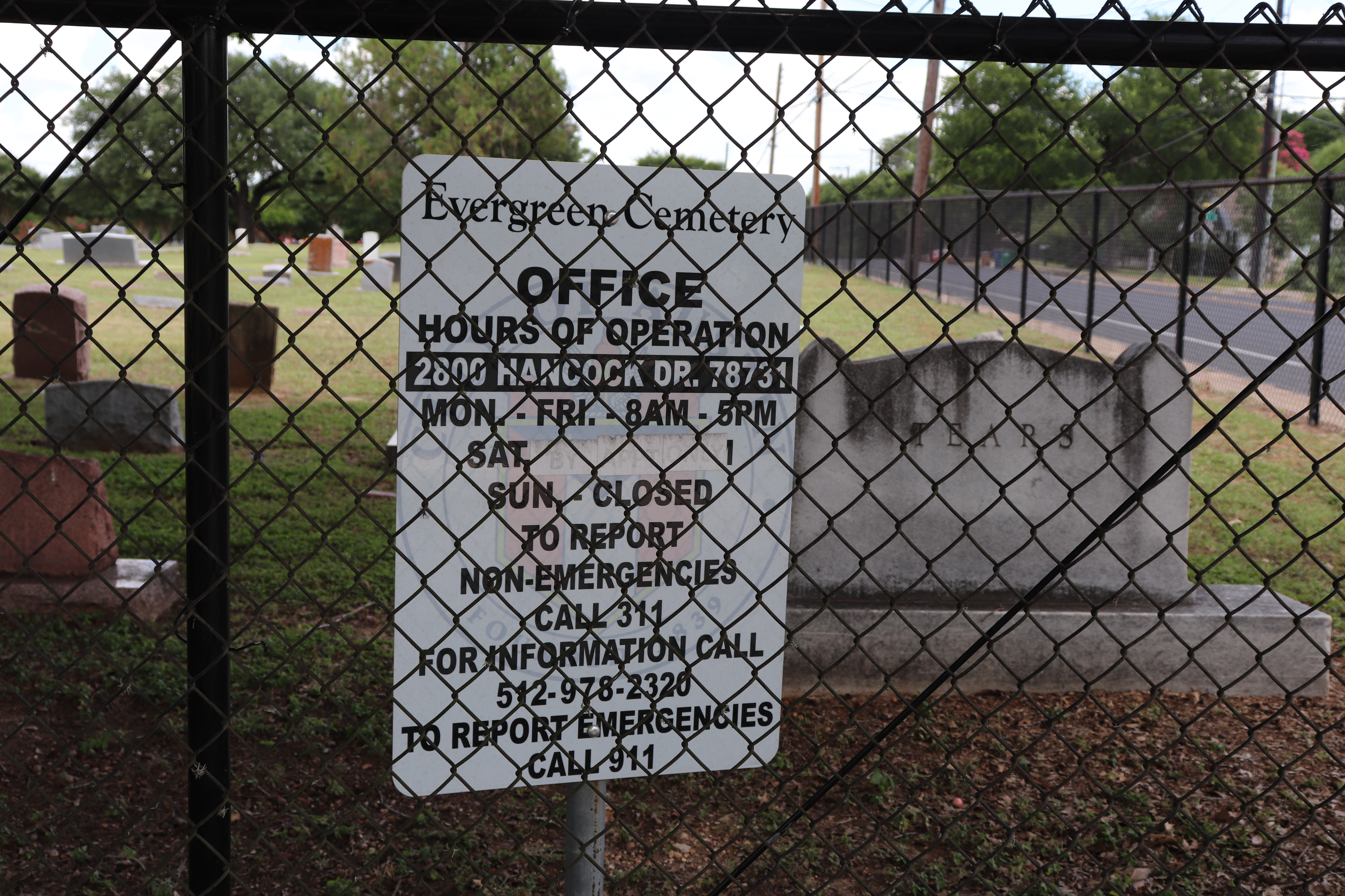 Photographed 19 Jun 2020.