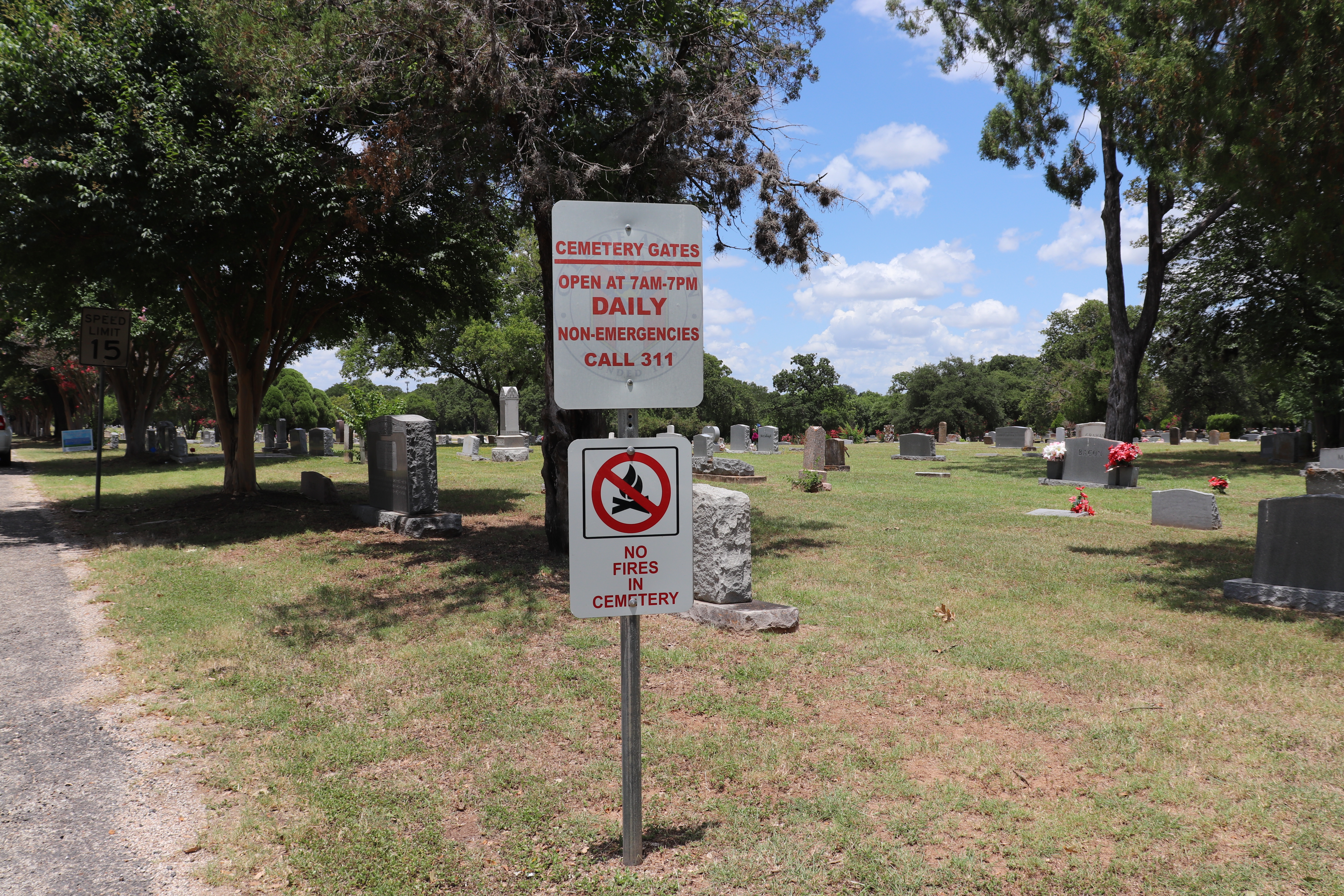 Photographed 19 Jun 2020.