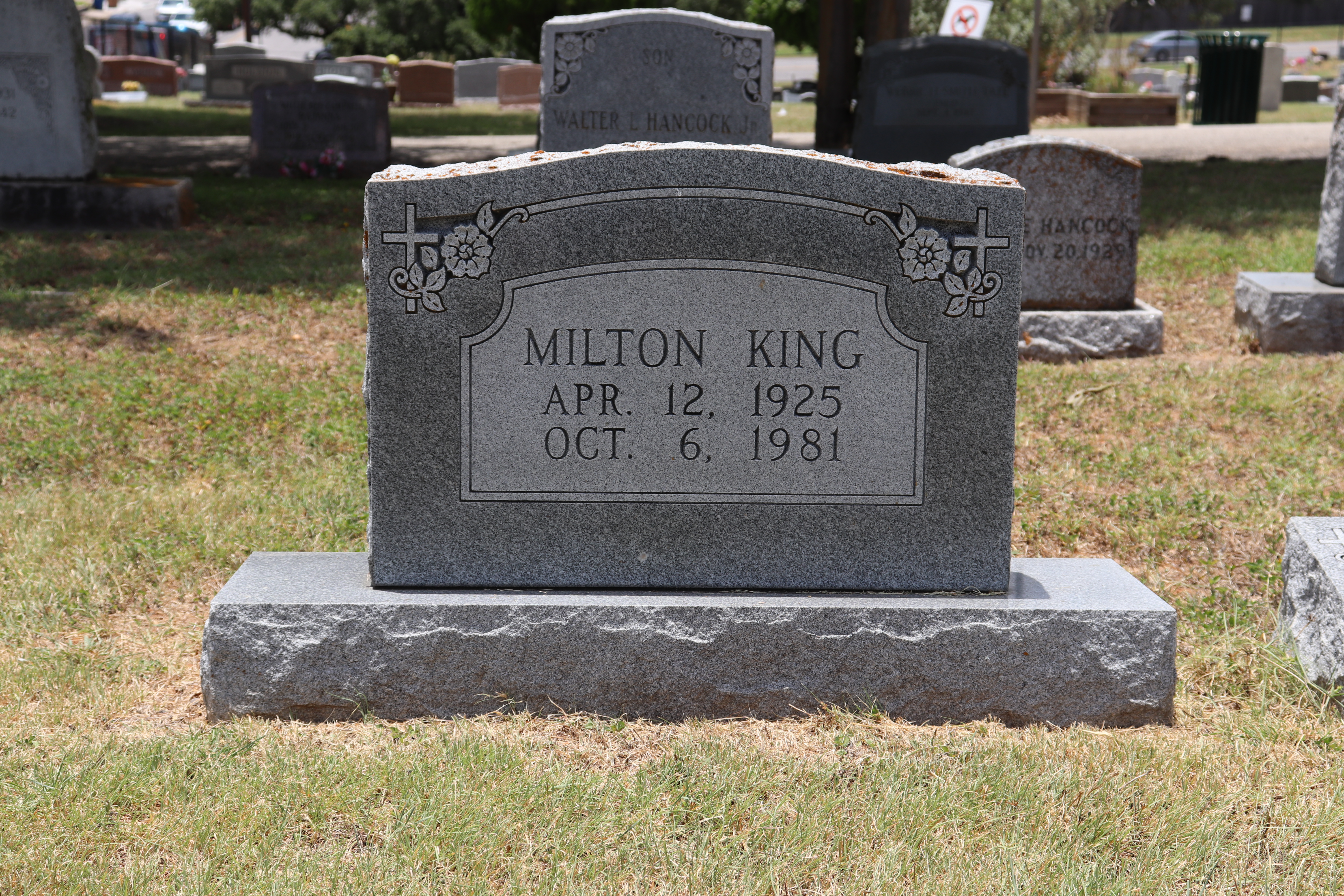 Photographed 19 Jun 2020.