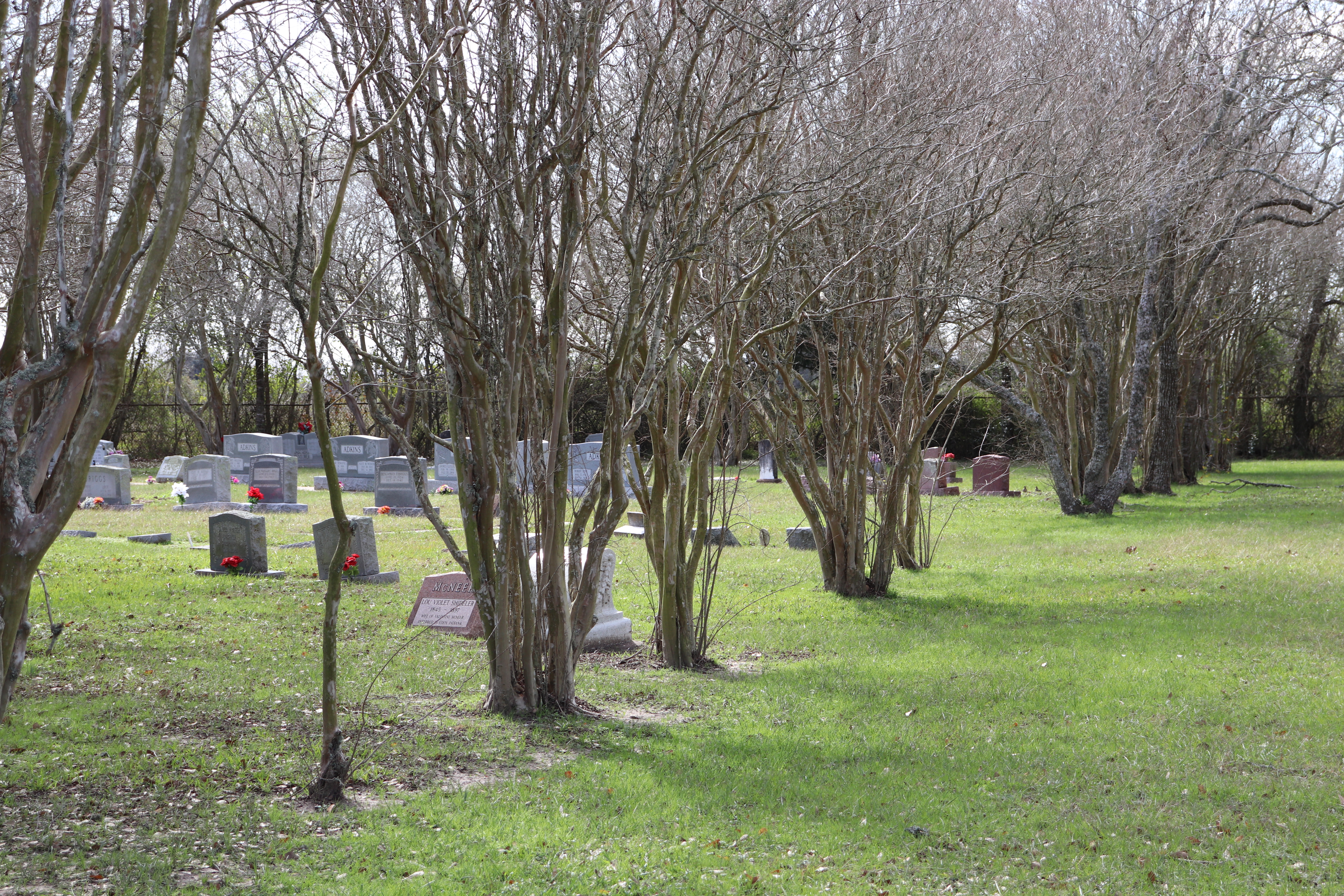 Photographed 21 Jan 2020.