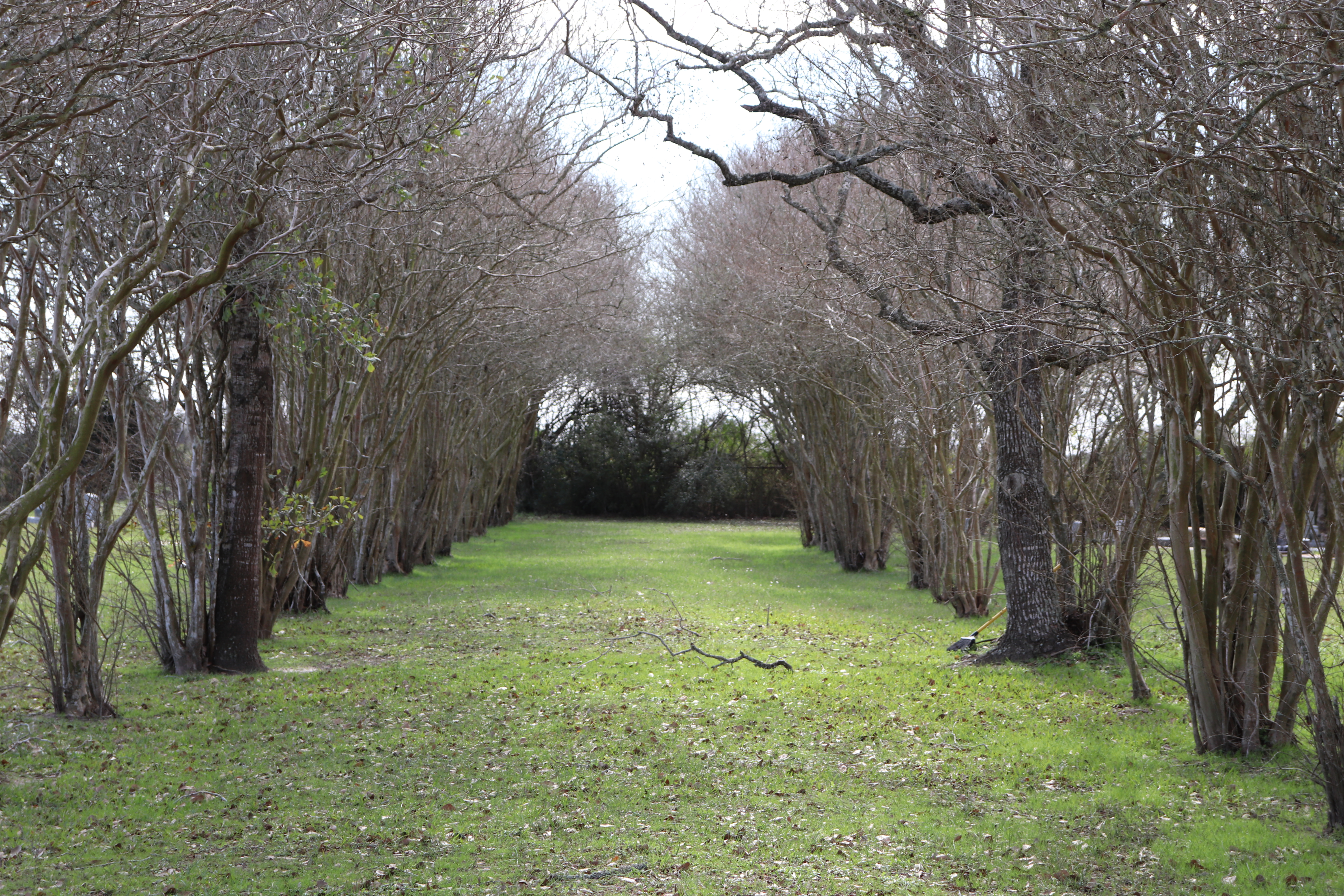 Photographed 21 Jan 2020.