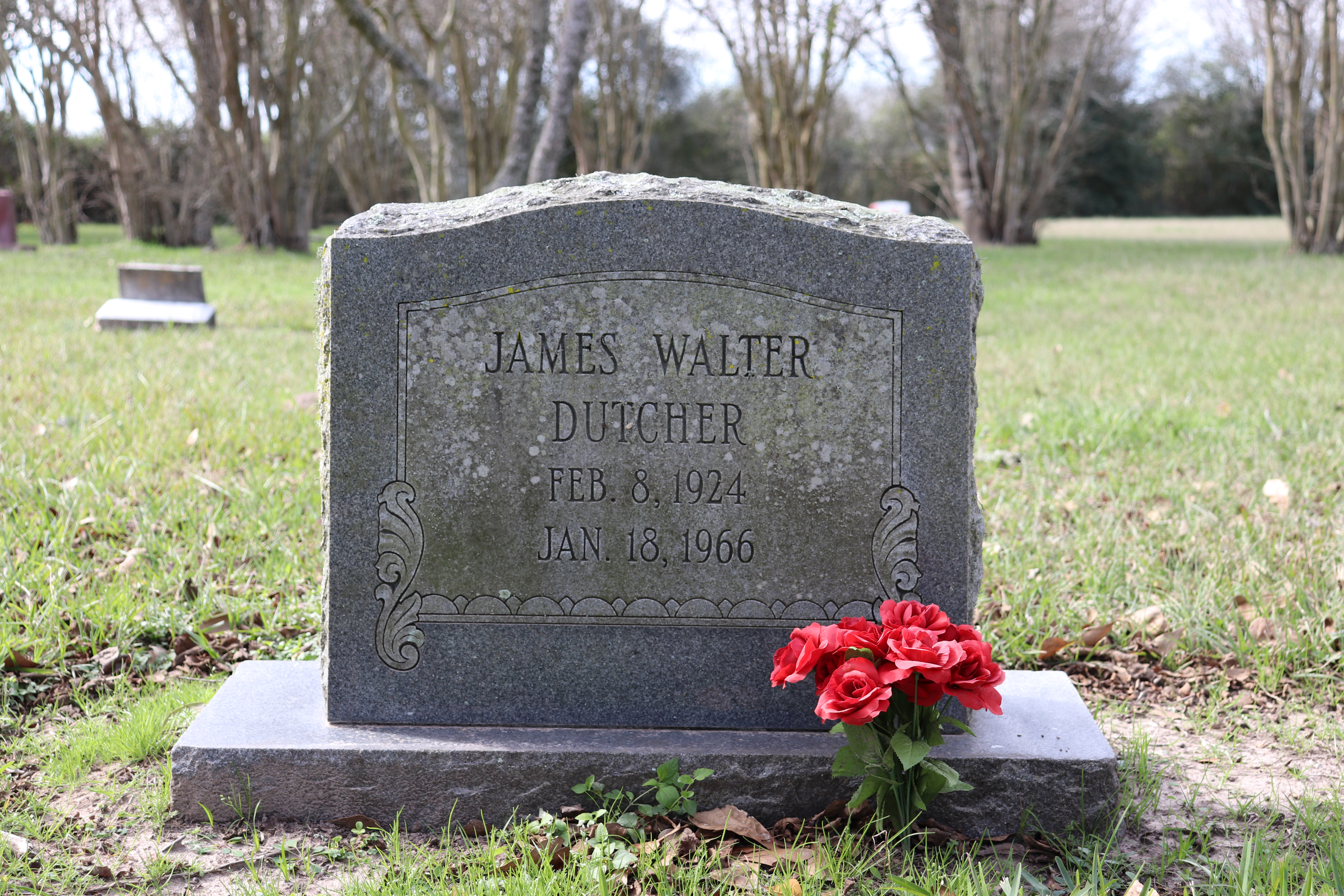 Photographed 21 Jan 2020.