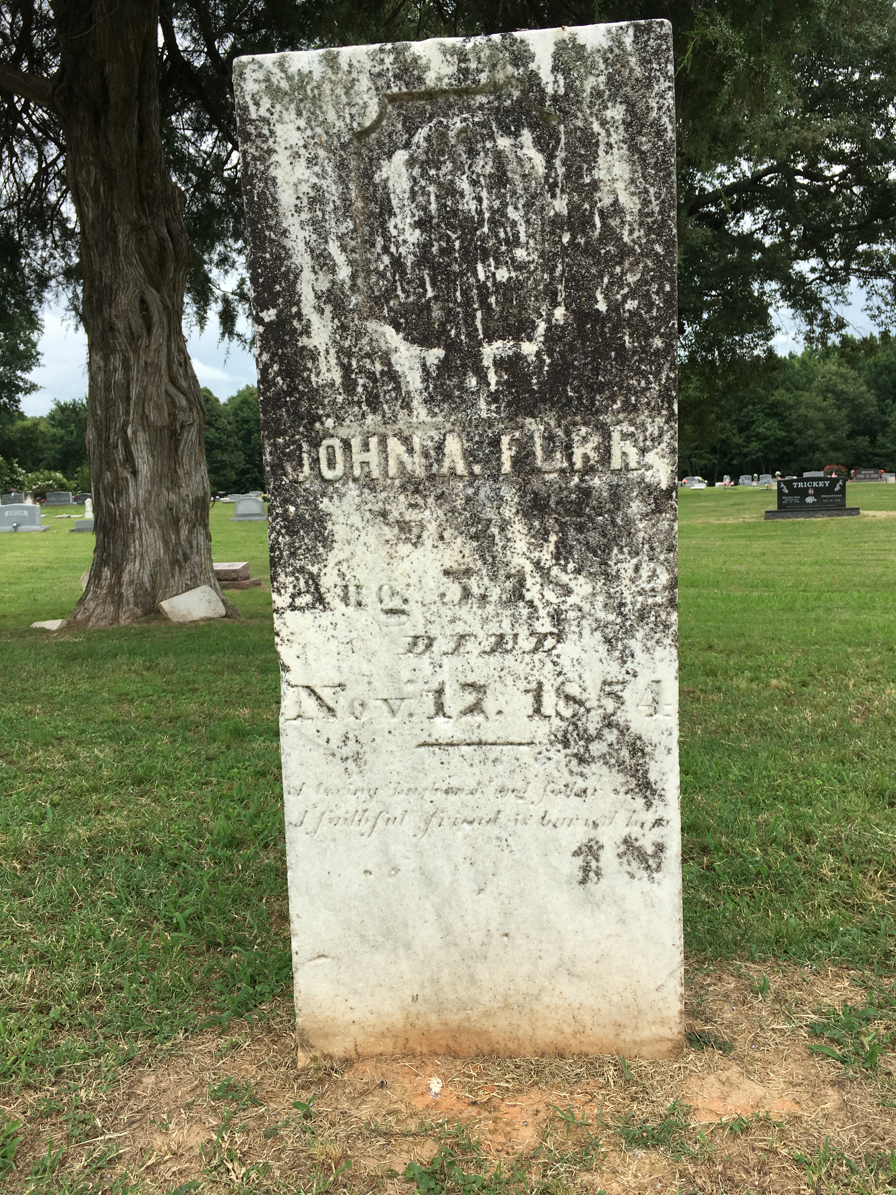 Photographed 26 Jun 2017.