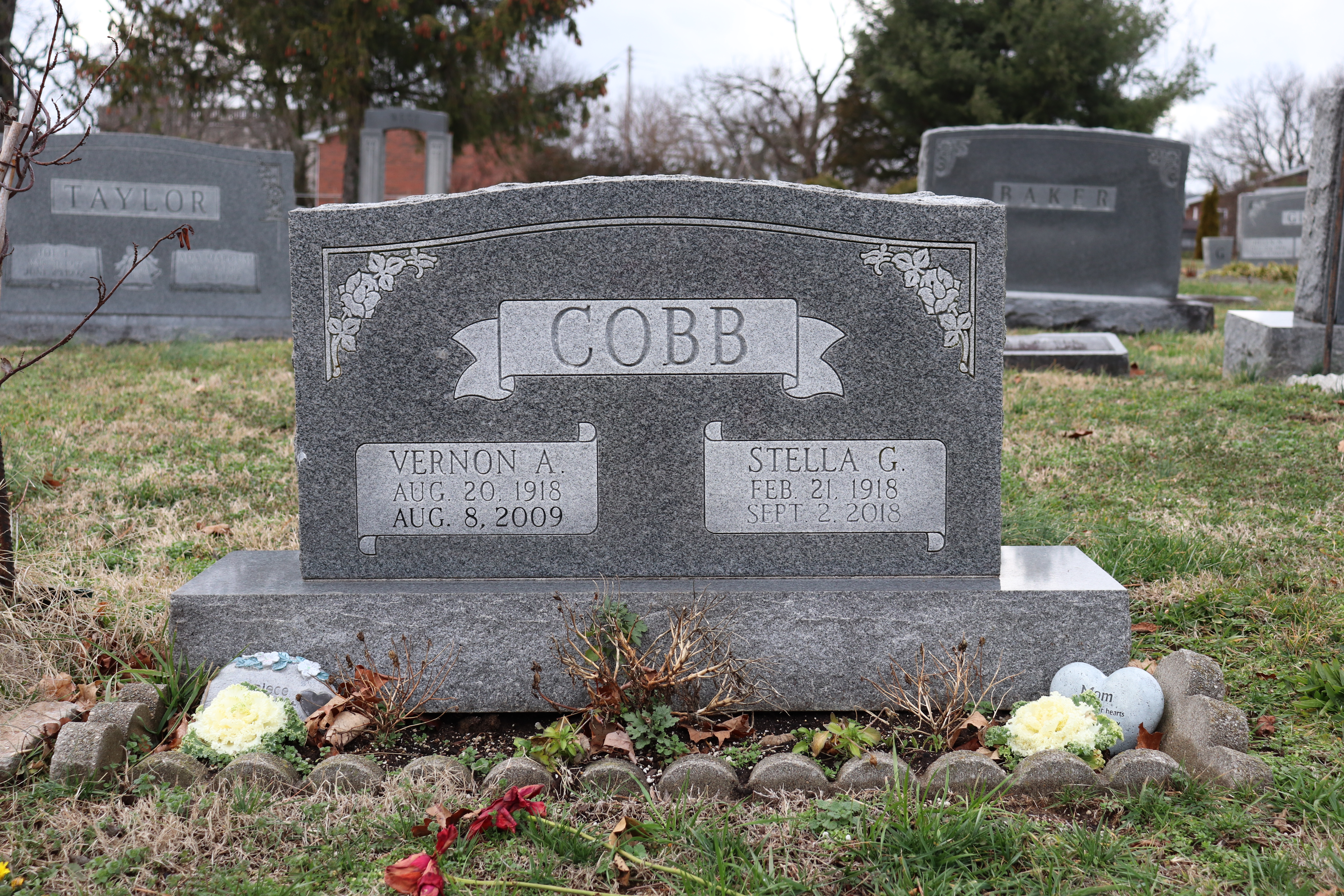 Photographed 15 Jan 2020.