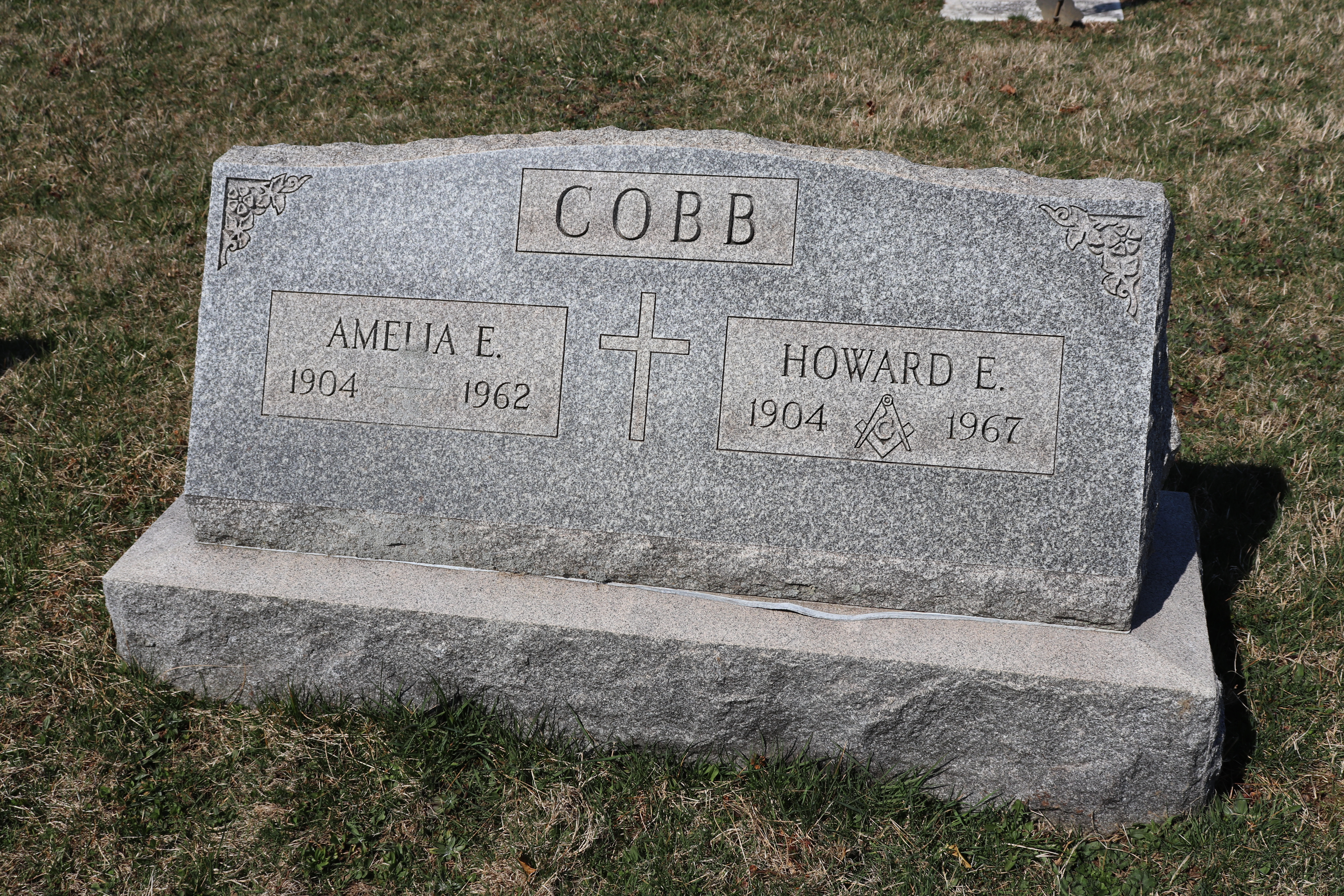 Photographed 06 Apr 2019.