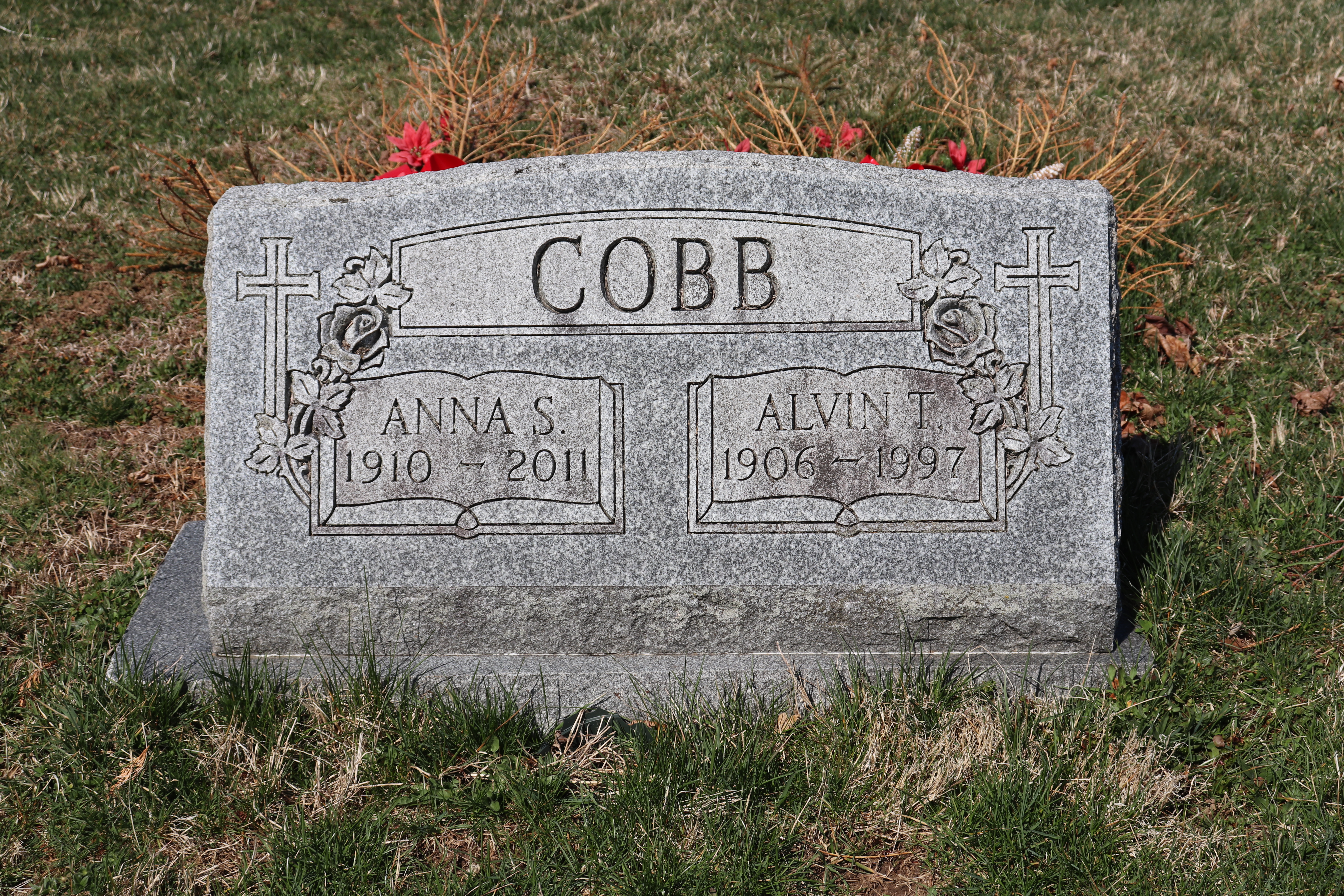 Photographed 06 Apr 2019.