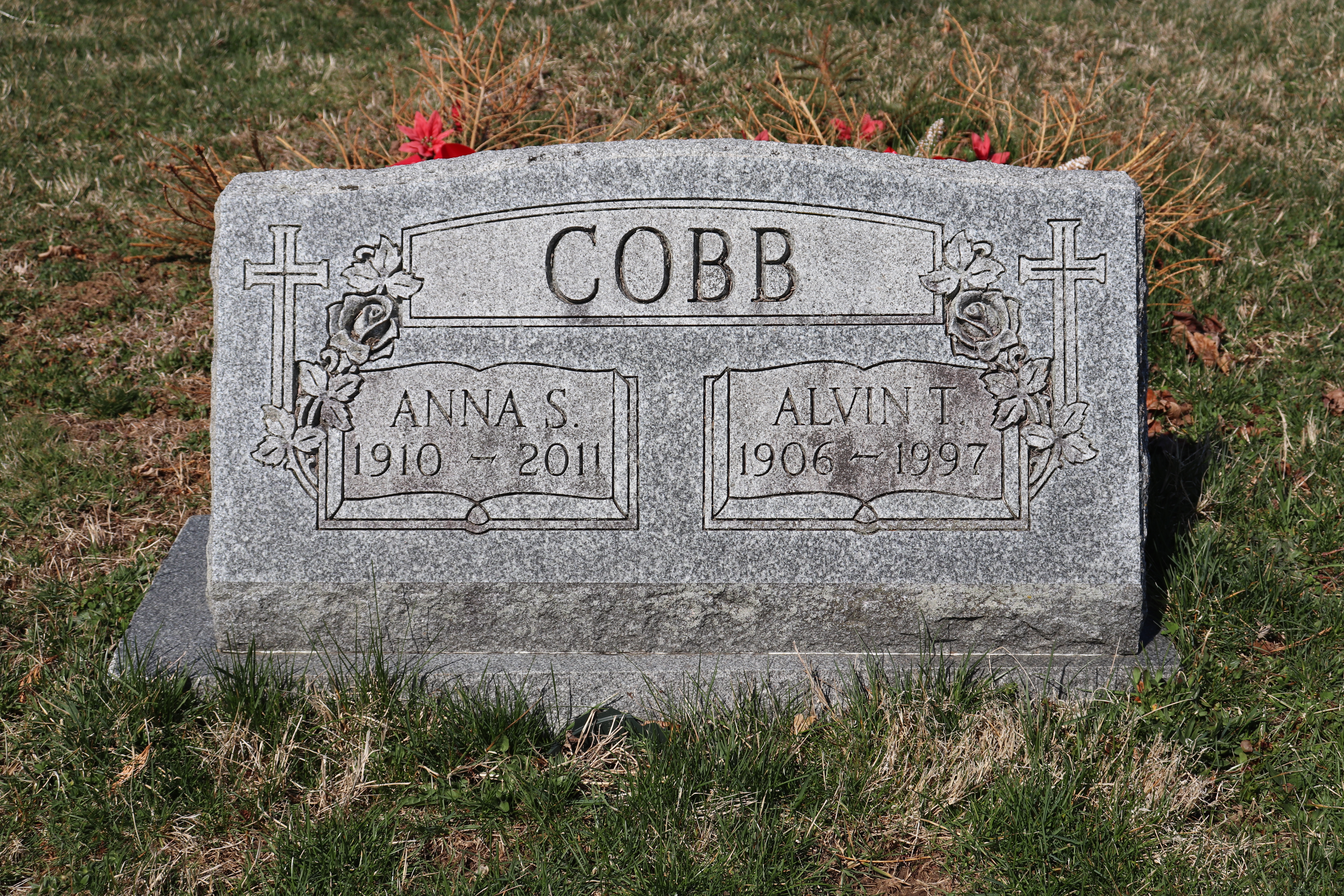 Photographed 06 Apr 2019.