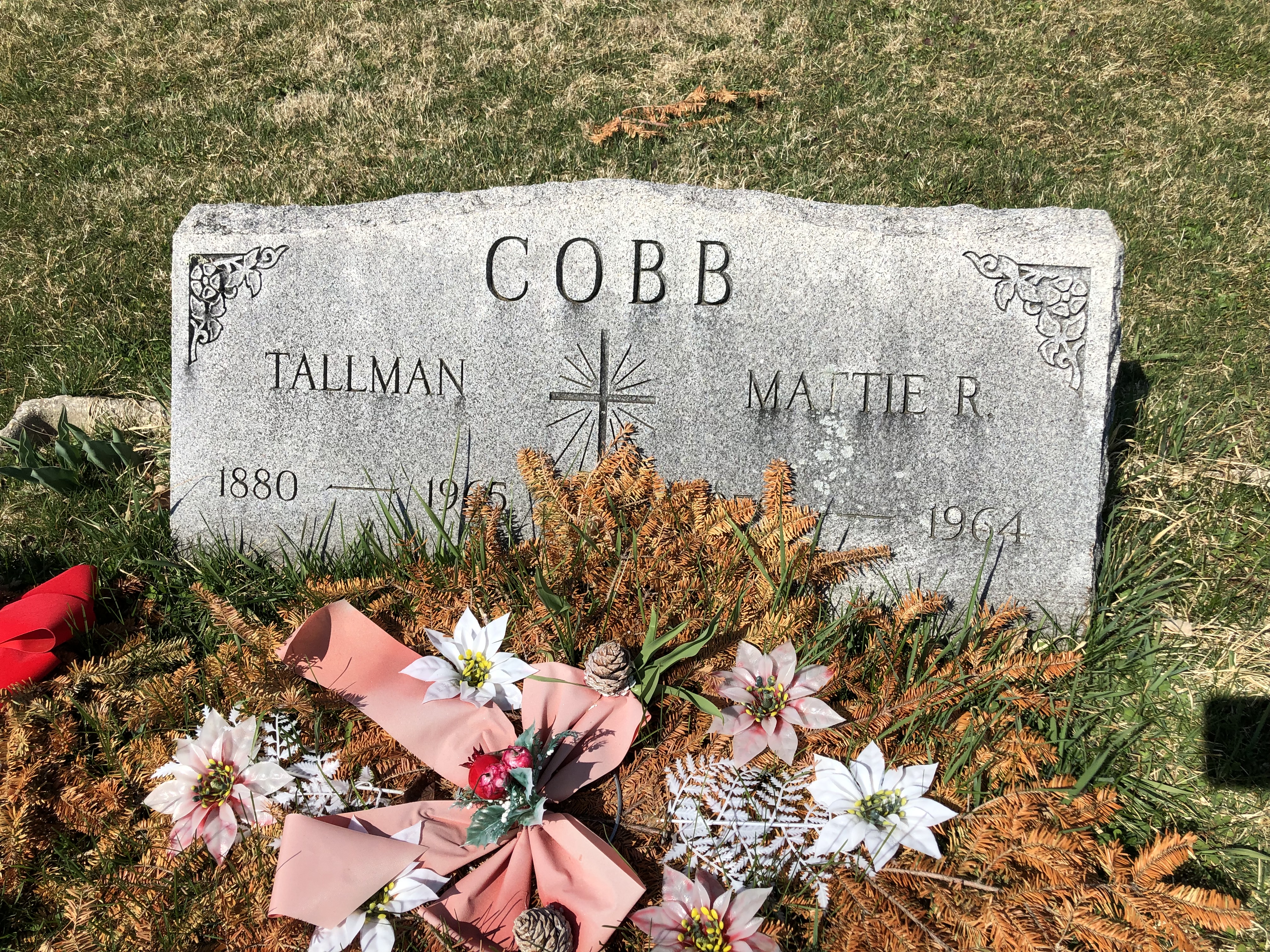 Photographed 06 Apr 2019.