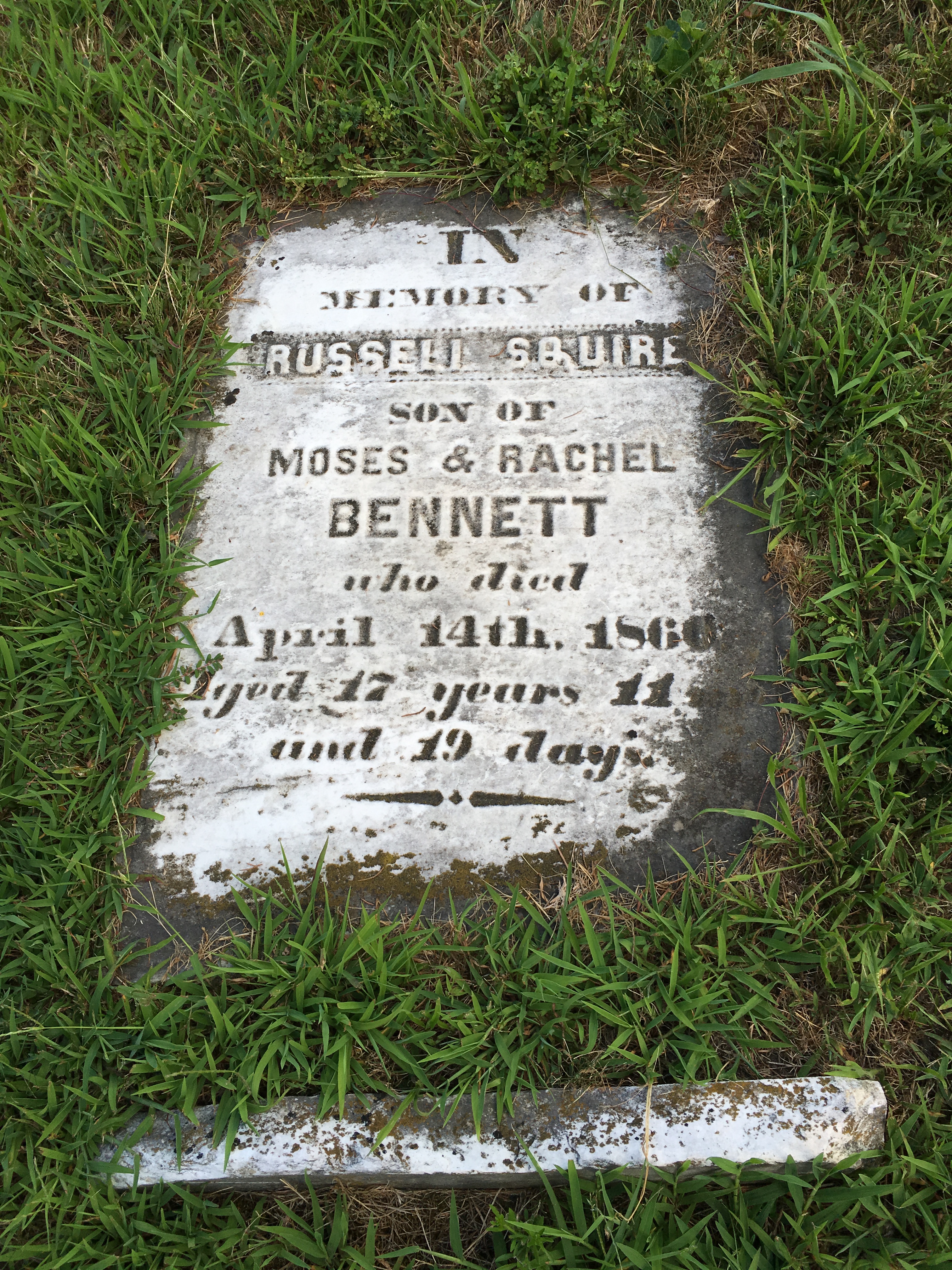 Photographed 16 Aug 2016.