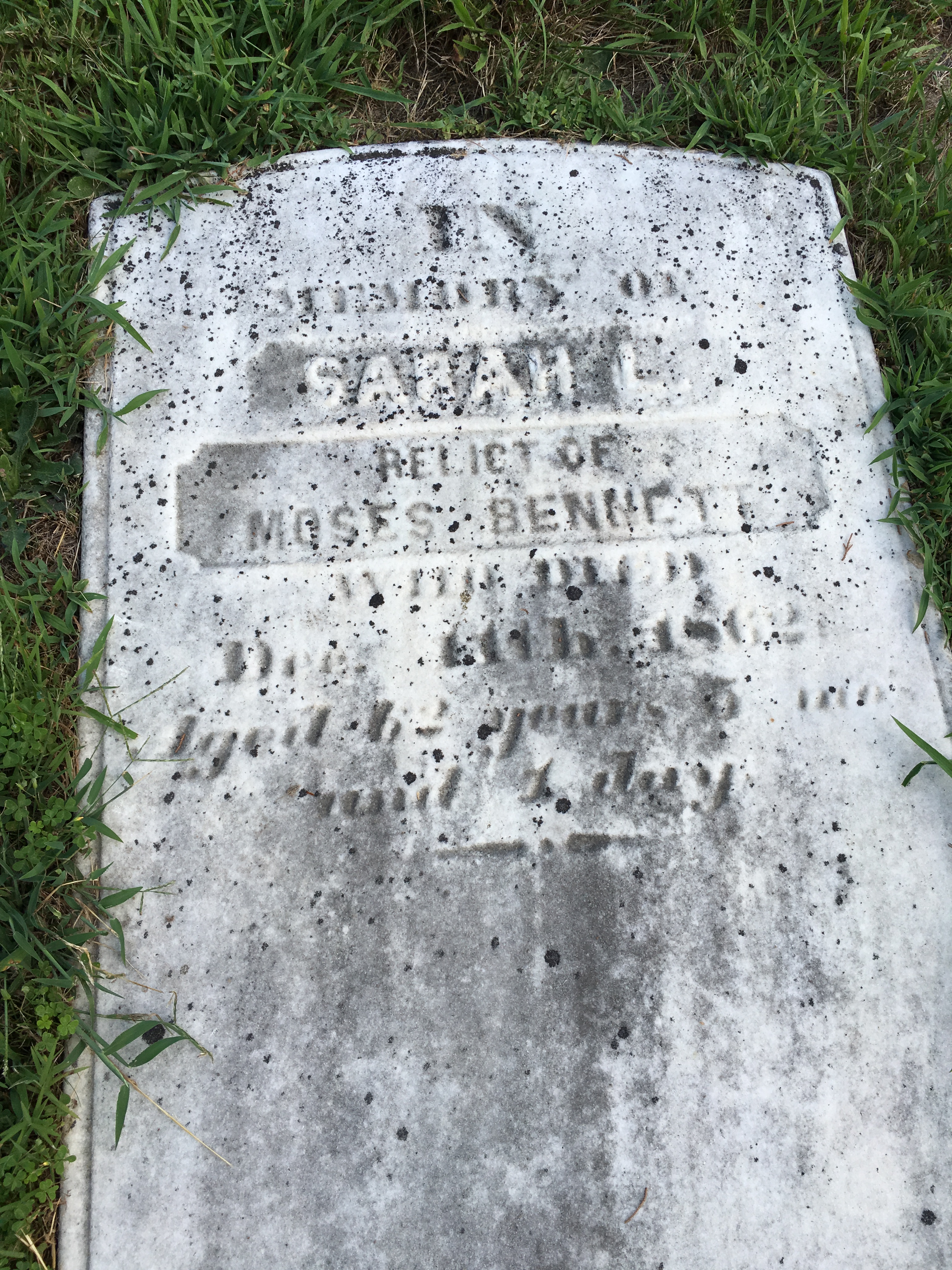 Photographed 16 Aug 2016.