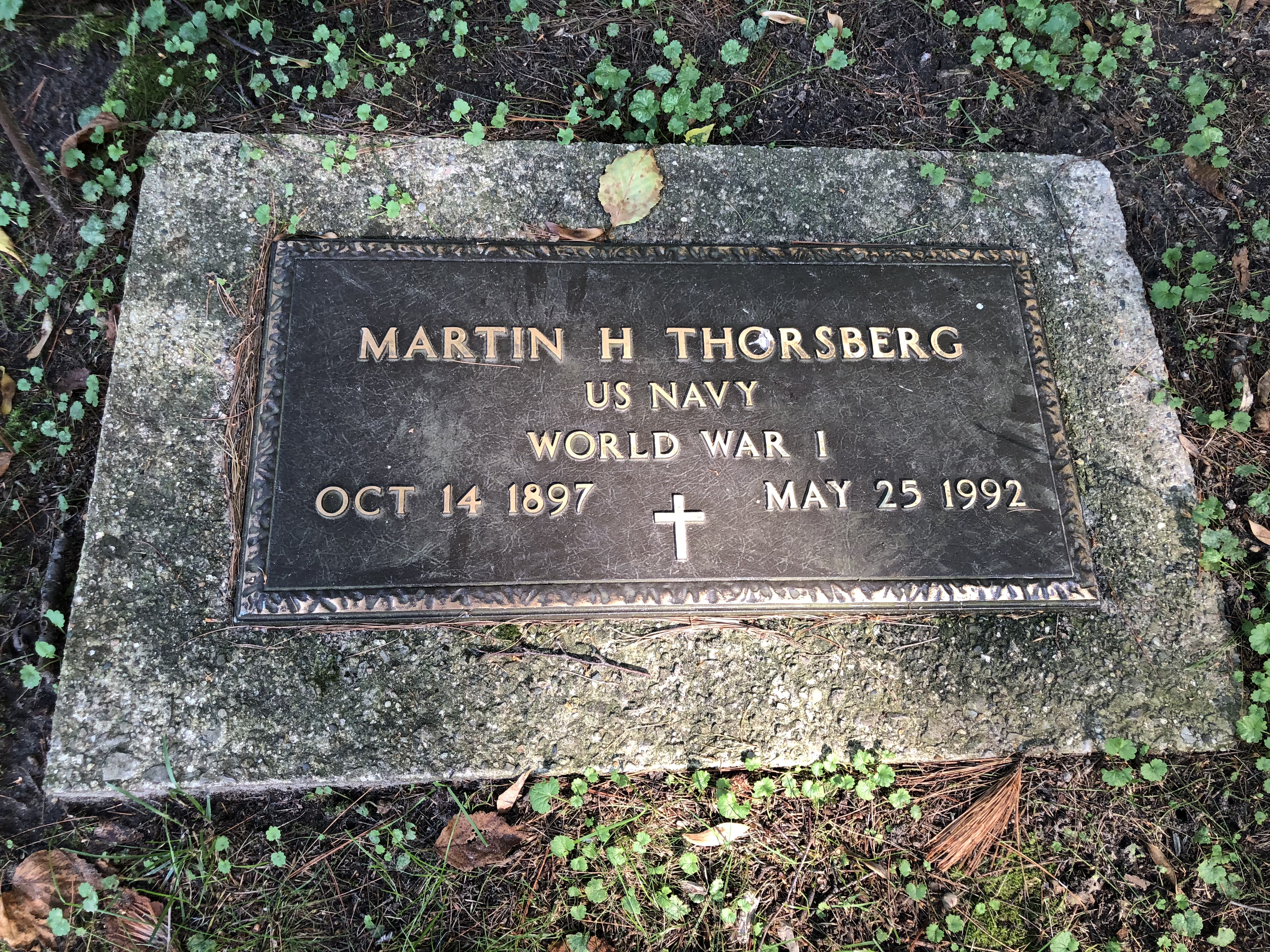 Photographed 05 Sept 2018.