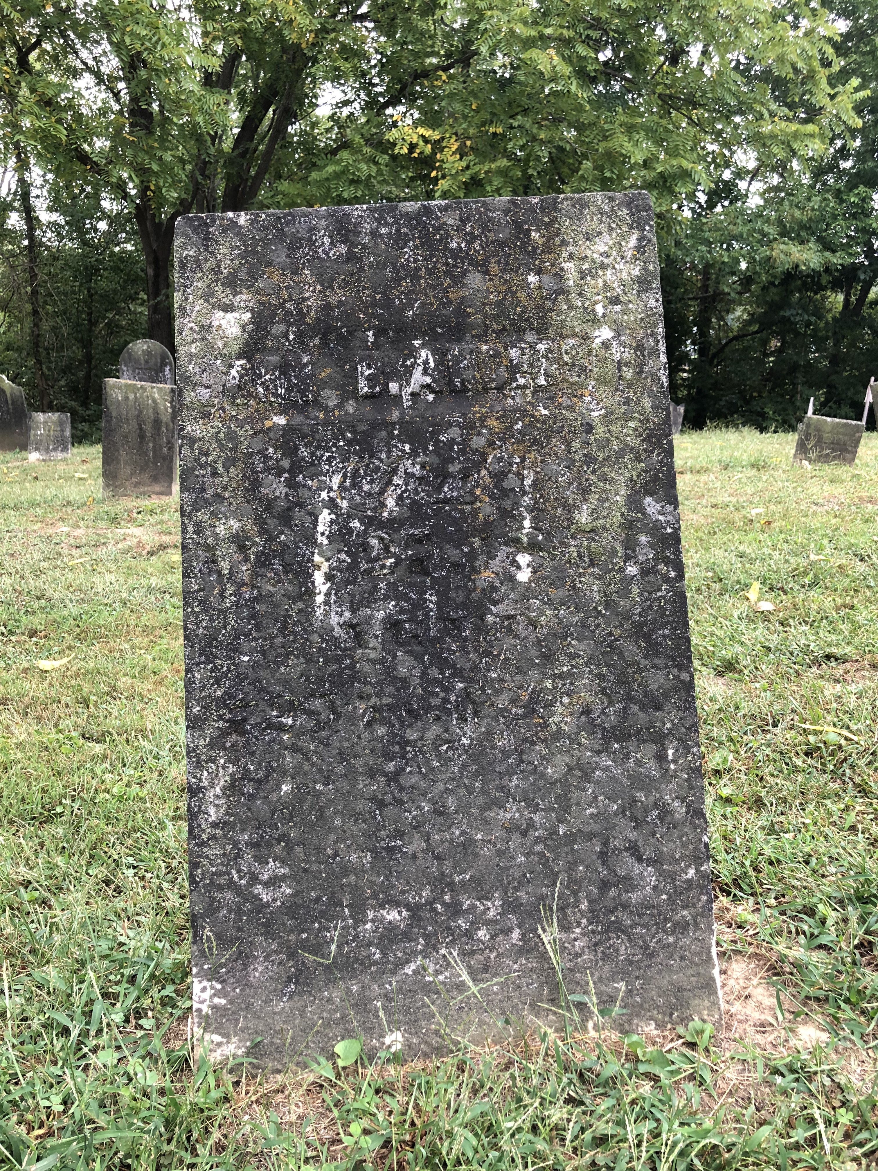 Photographed 07 Sept 2018.