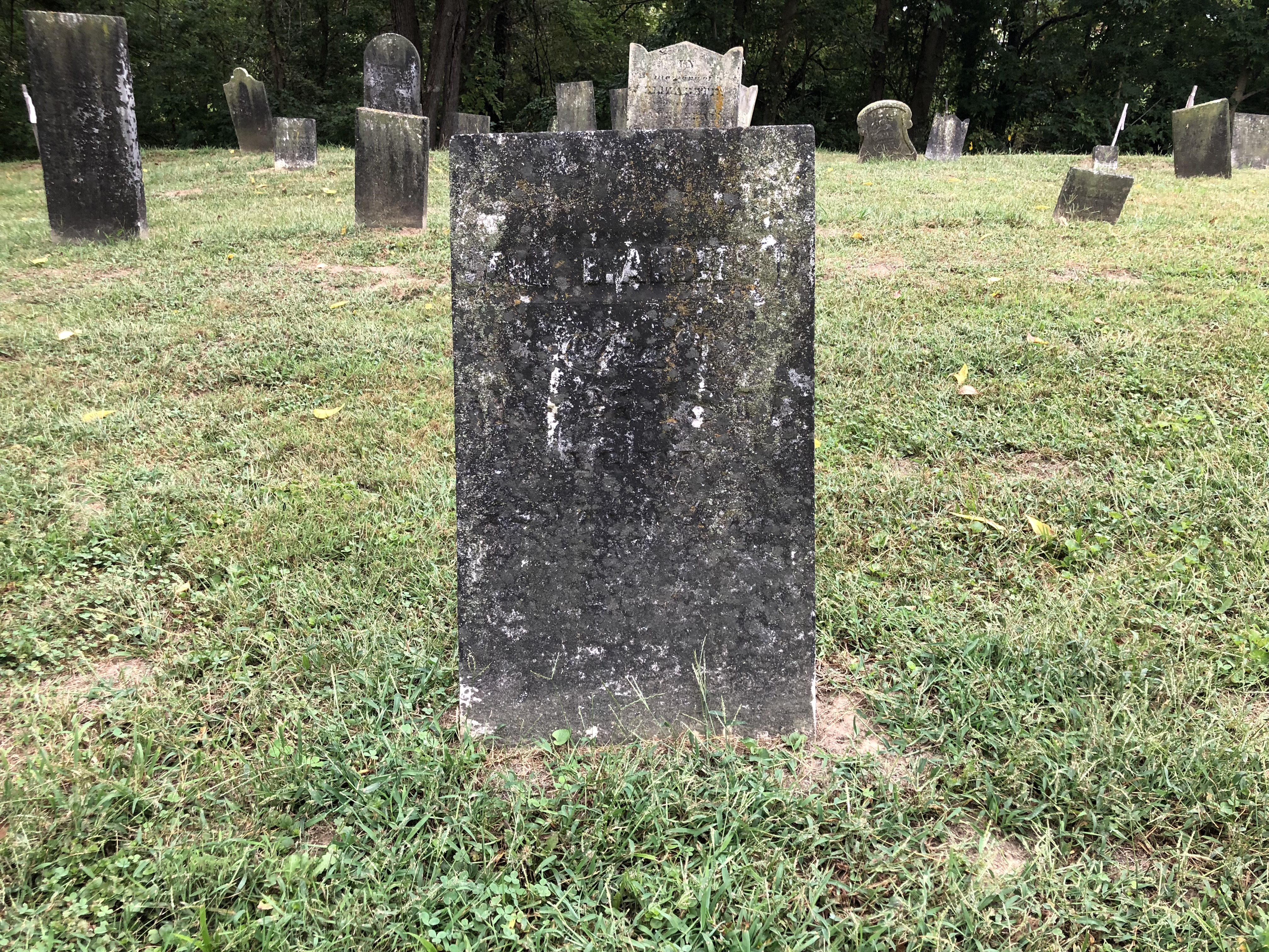 Photographed 07 Sept 2018.