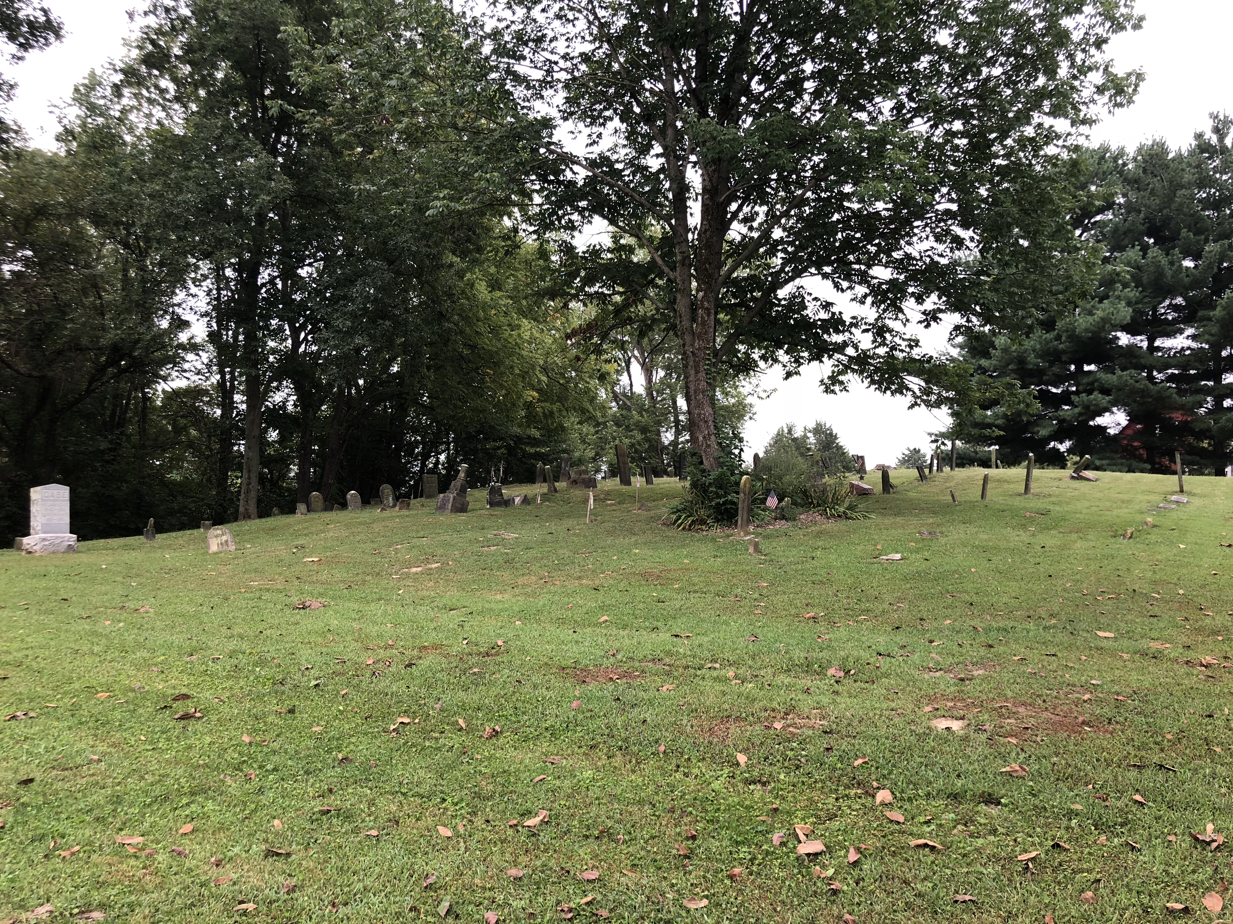 Photographed 07 Sept 2018.