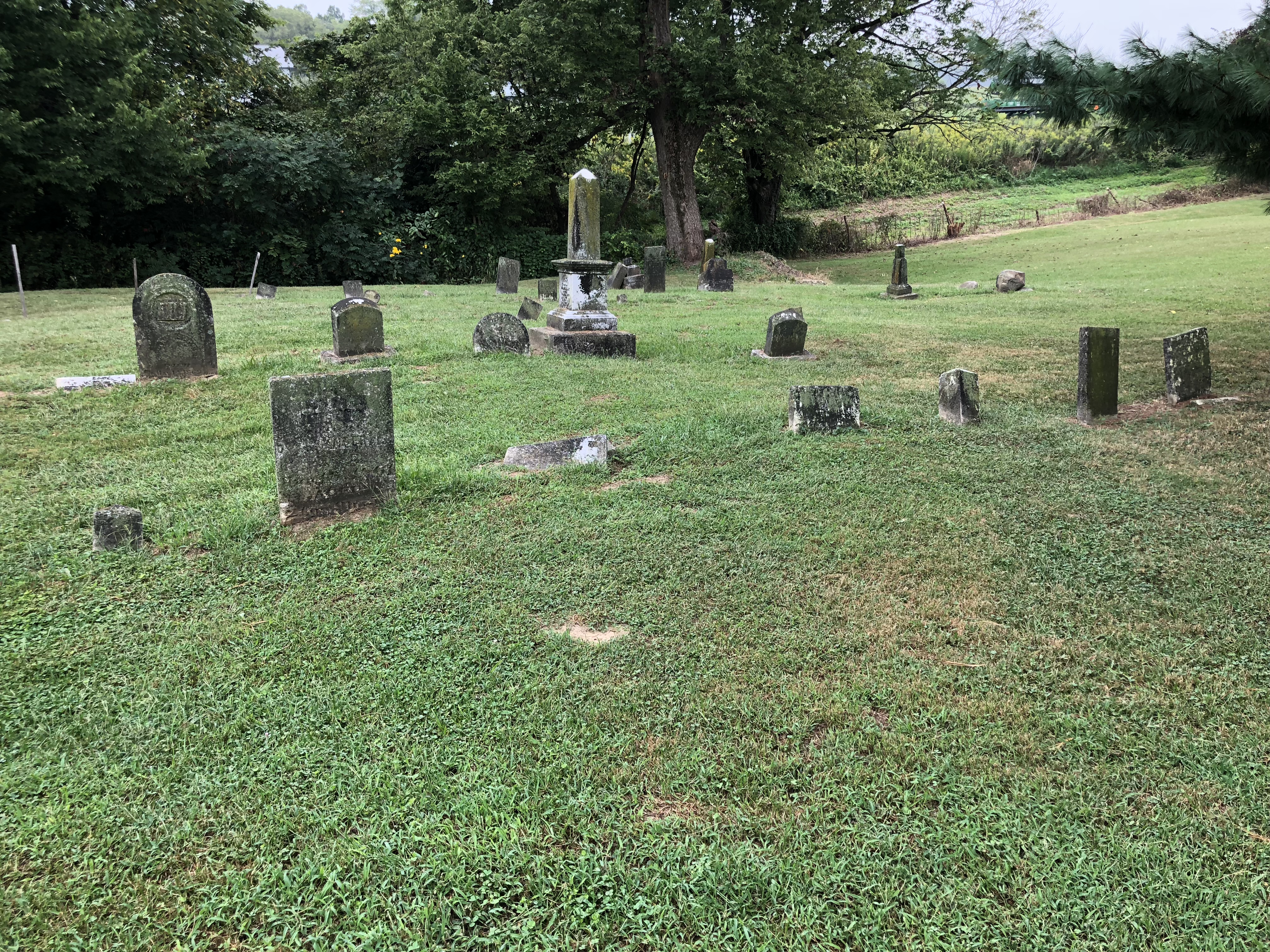 Photographed 07 Sept 2018.