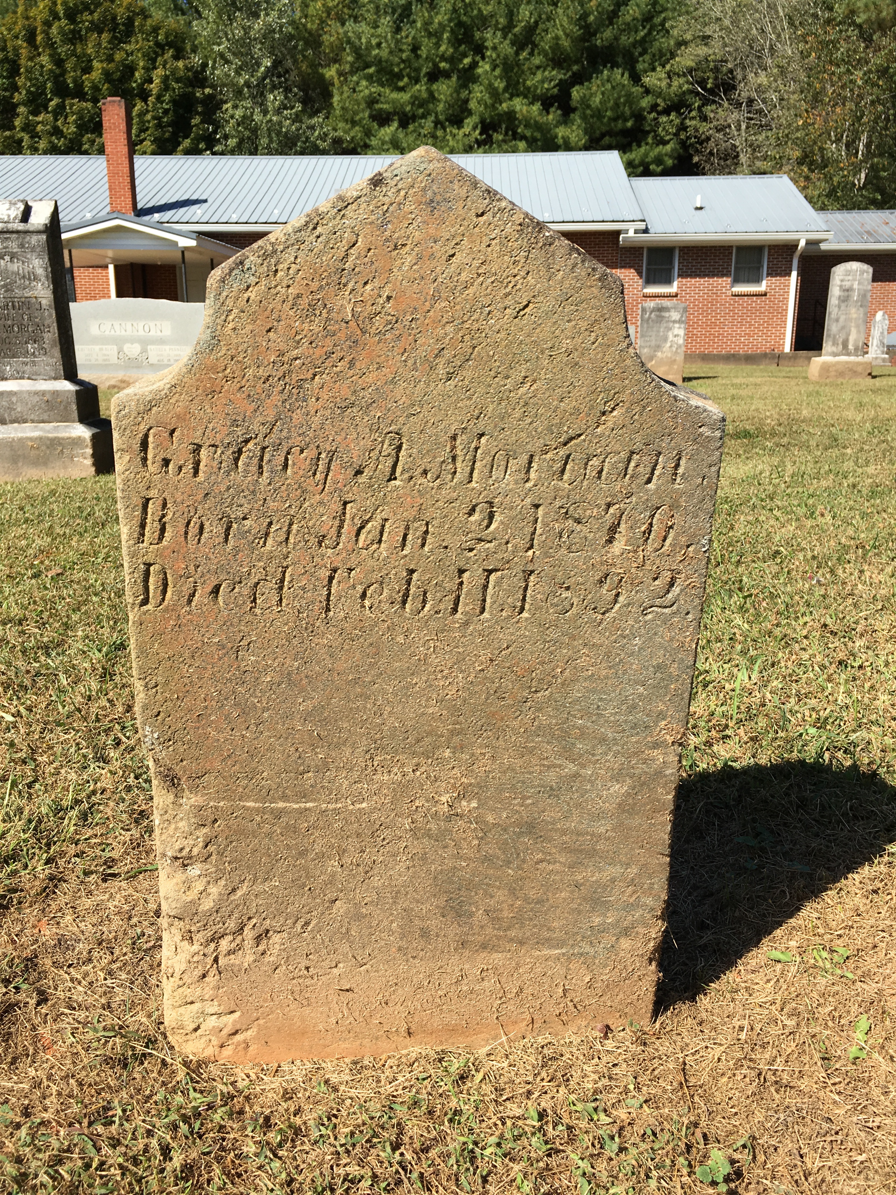 Photographed 06 Oct 2017.