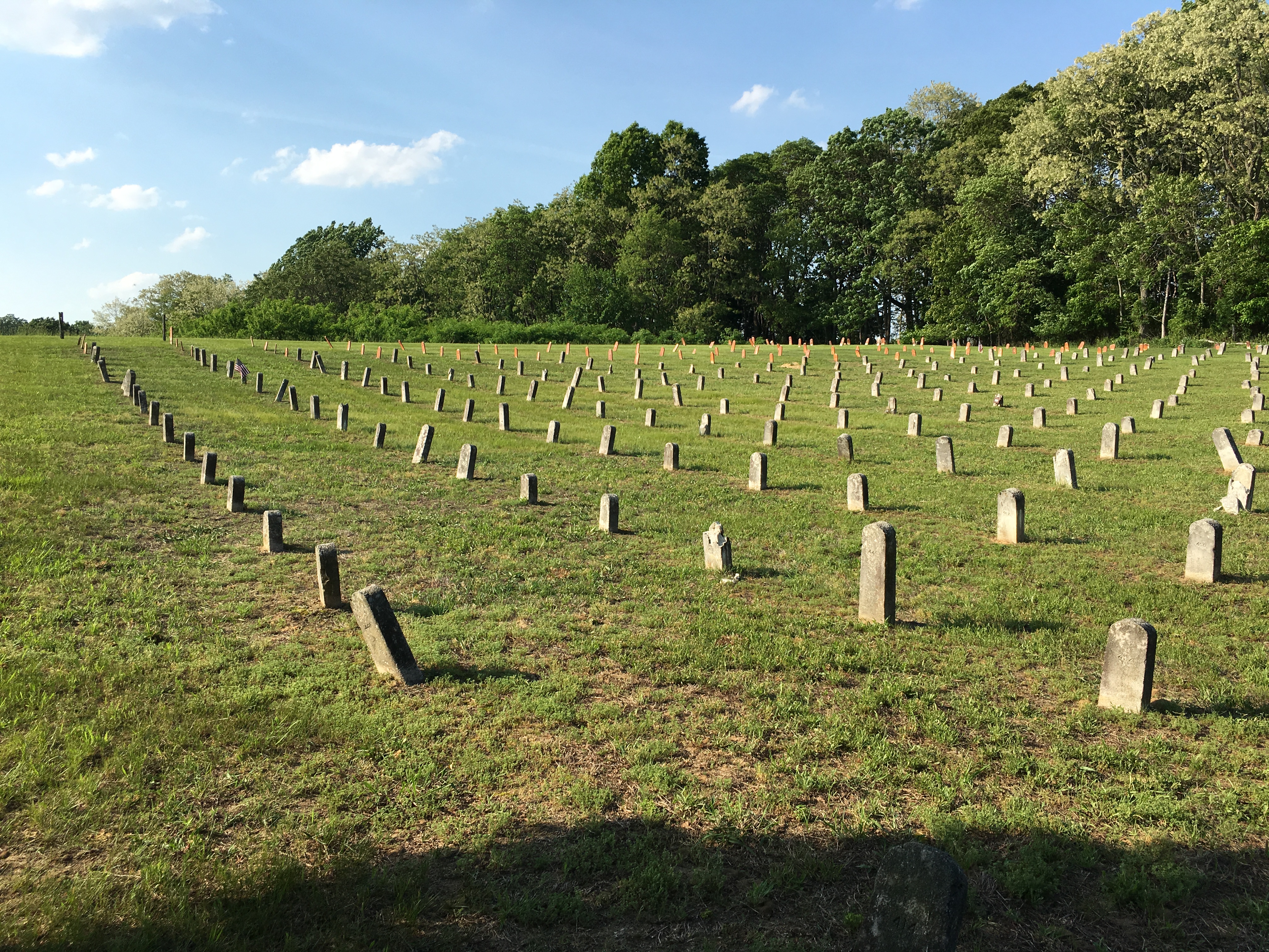 Photographed 18 May 2018.