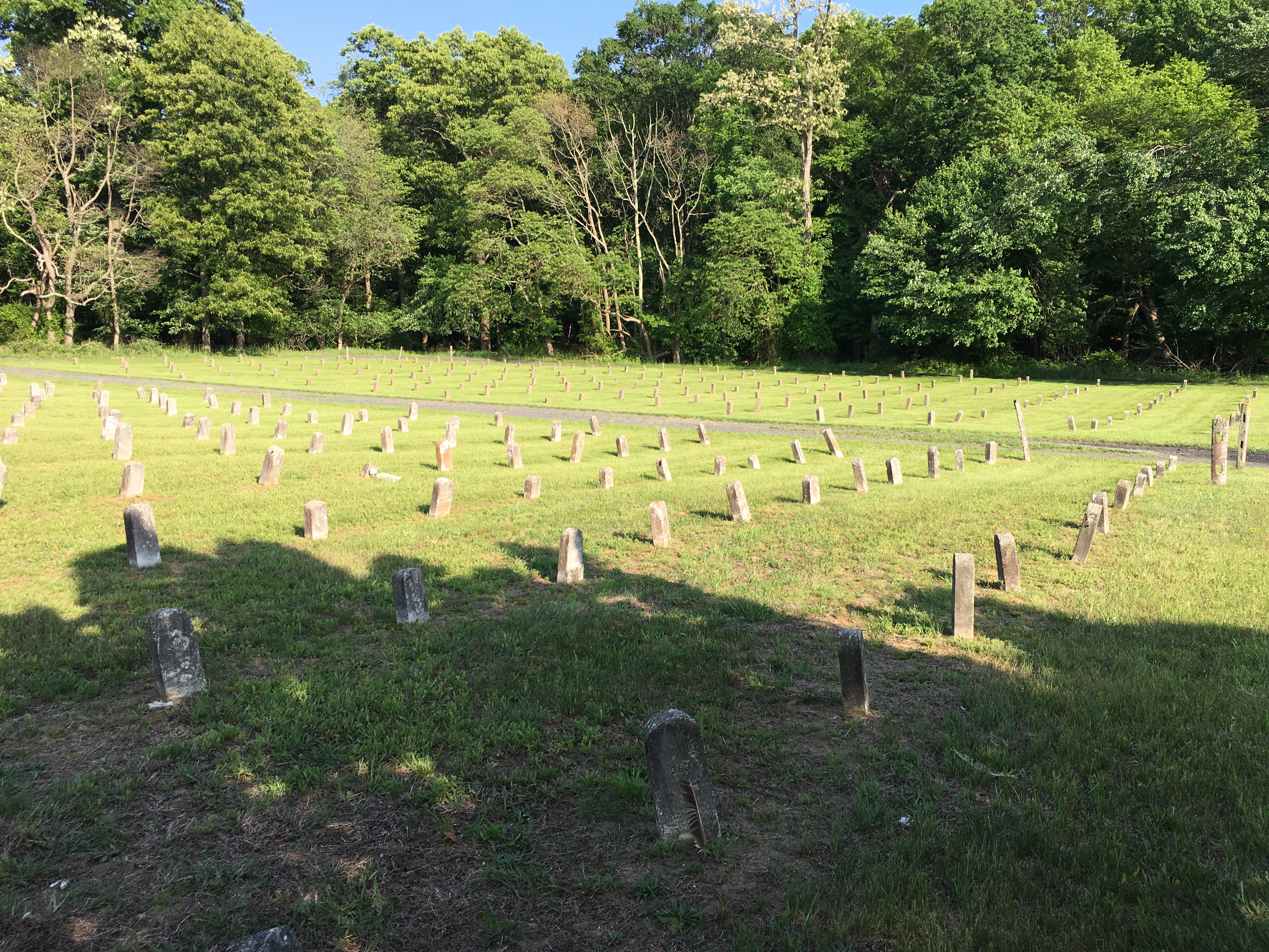 Photographed 18 May 2018.