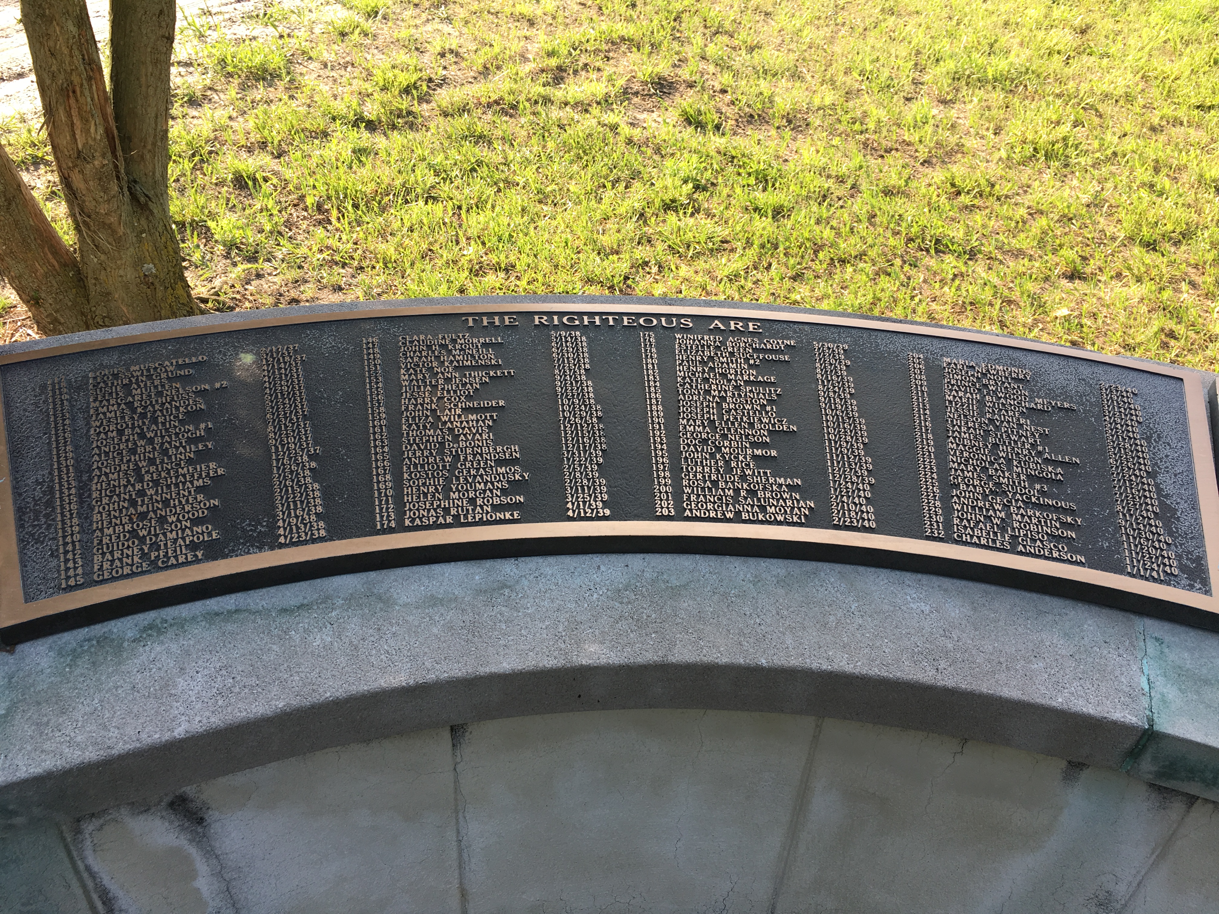 Photographed 18 May 2018.