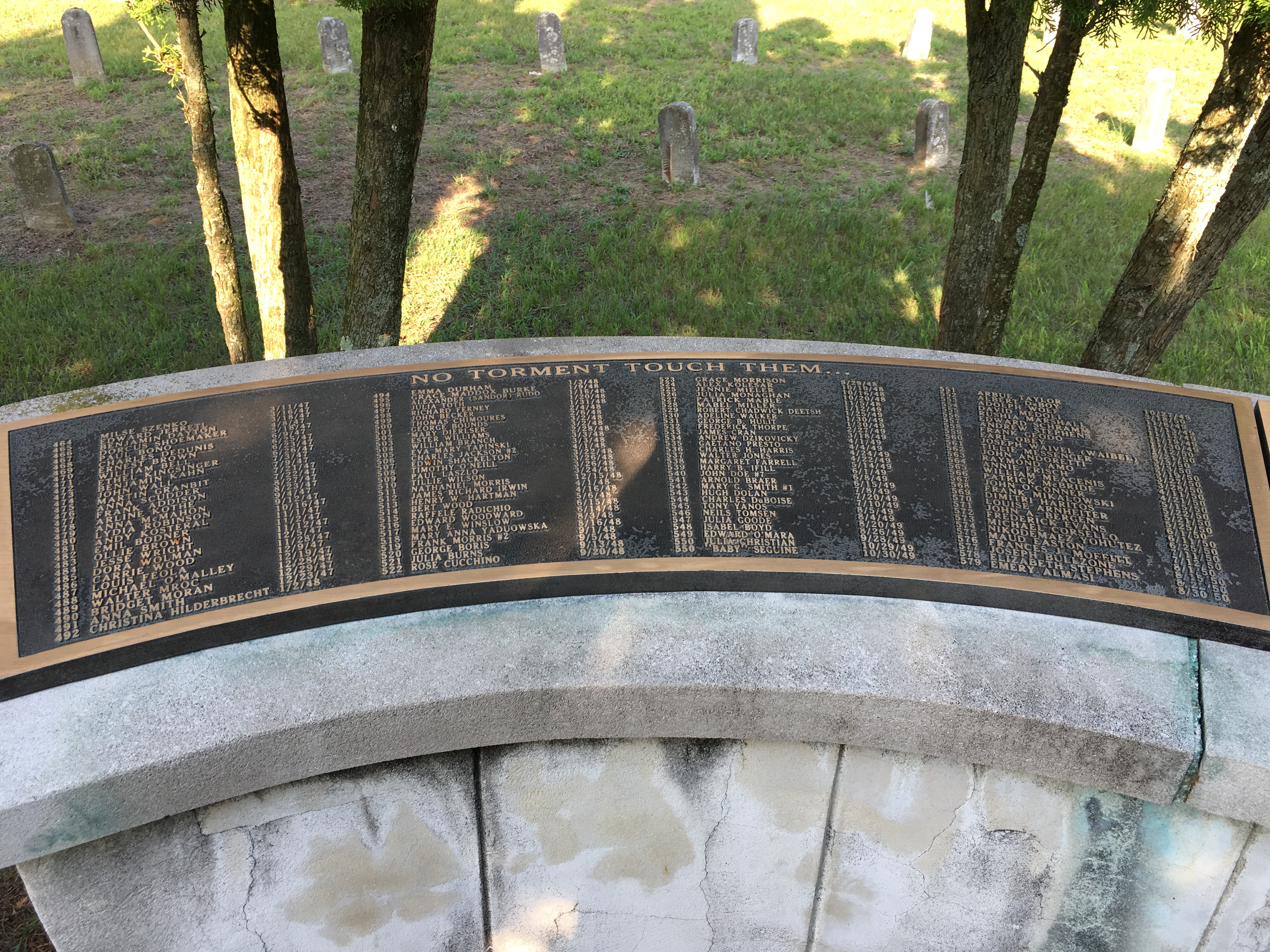 Photographed 18 May 2018.