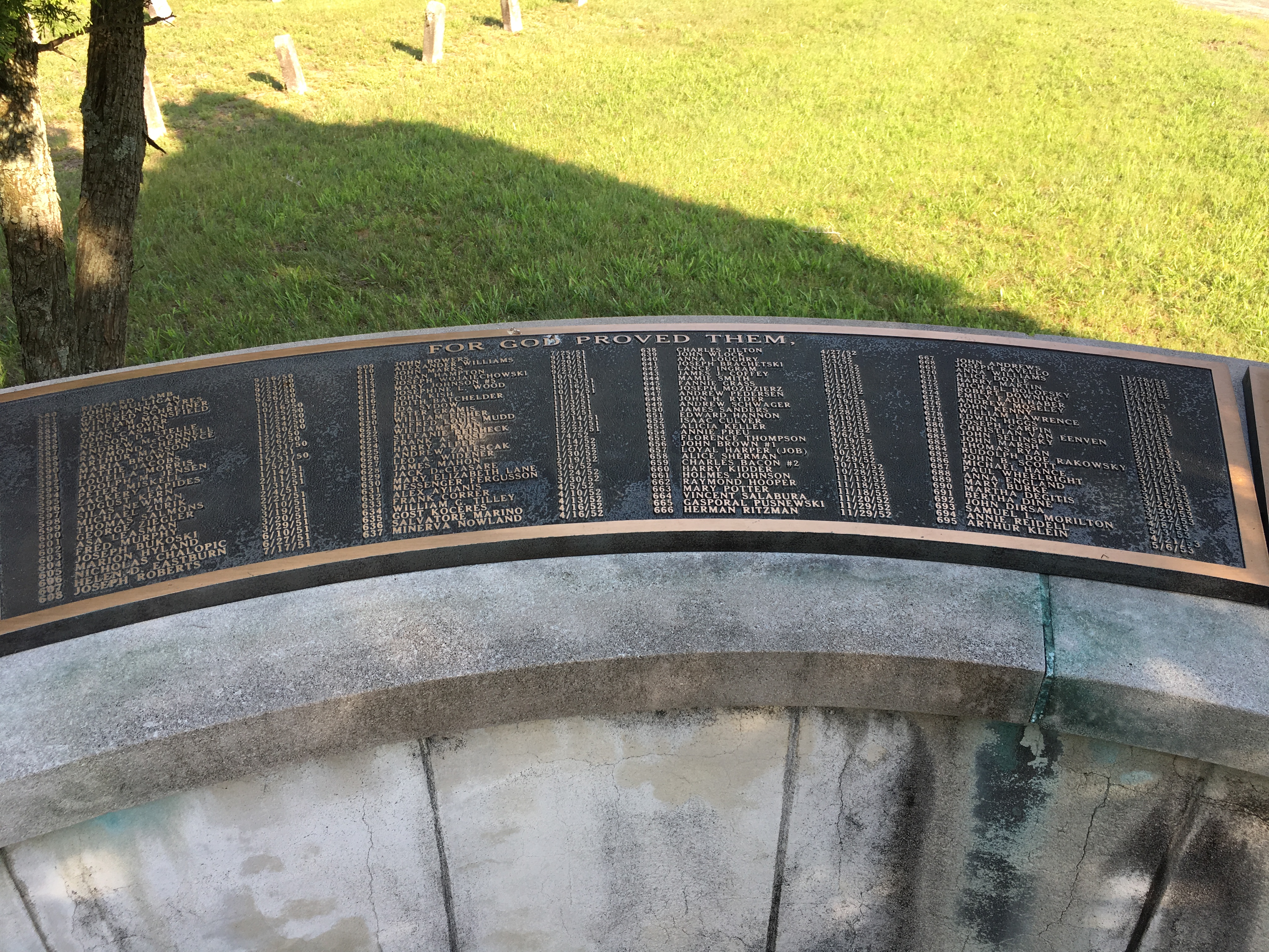 Photographed 18 May 2018.