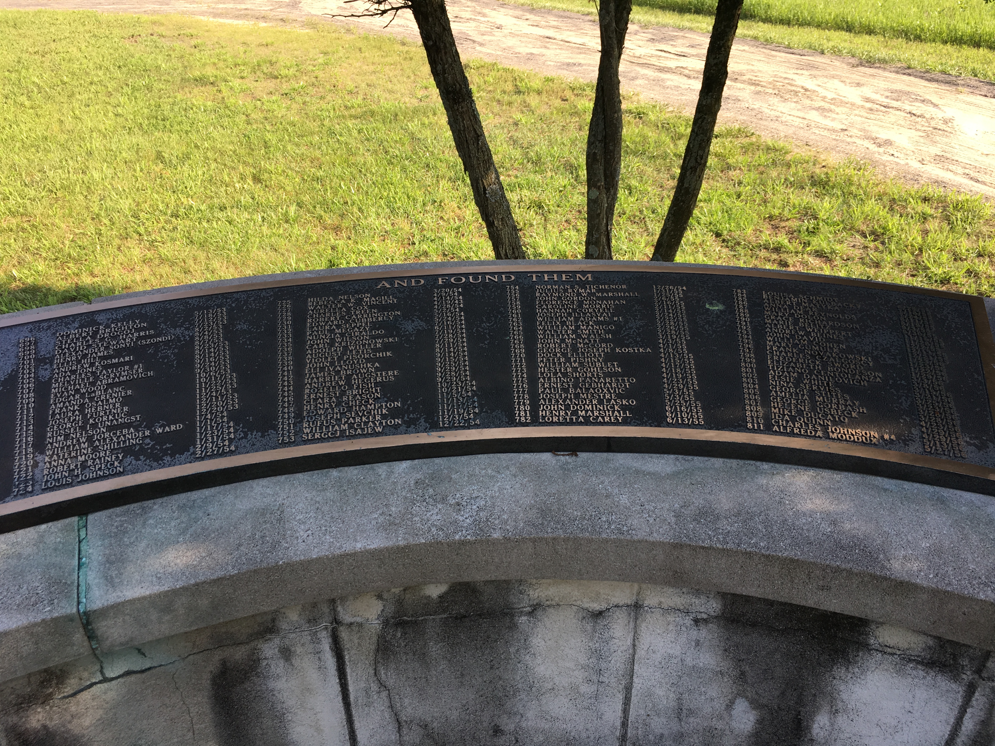 Photographed 18 May 2018.