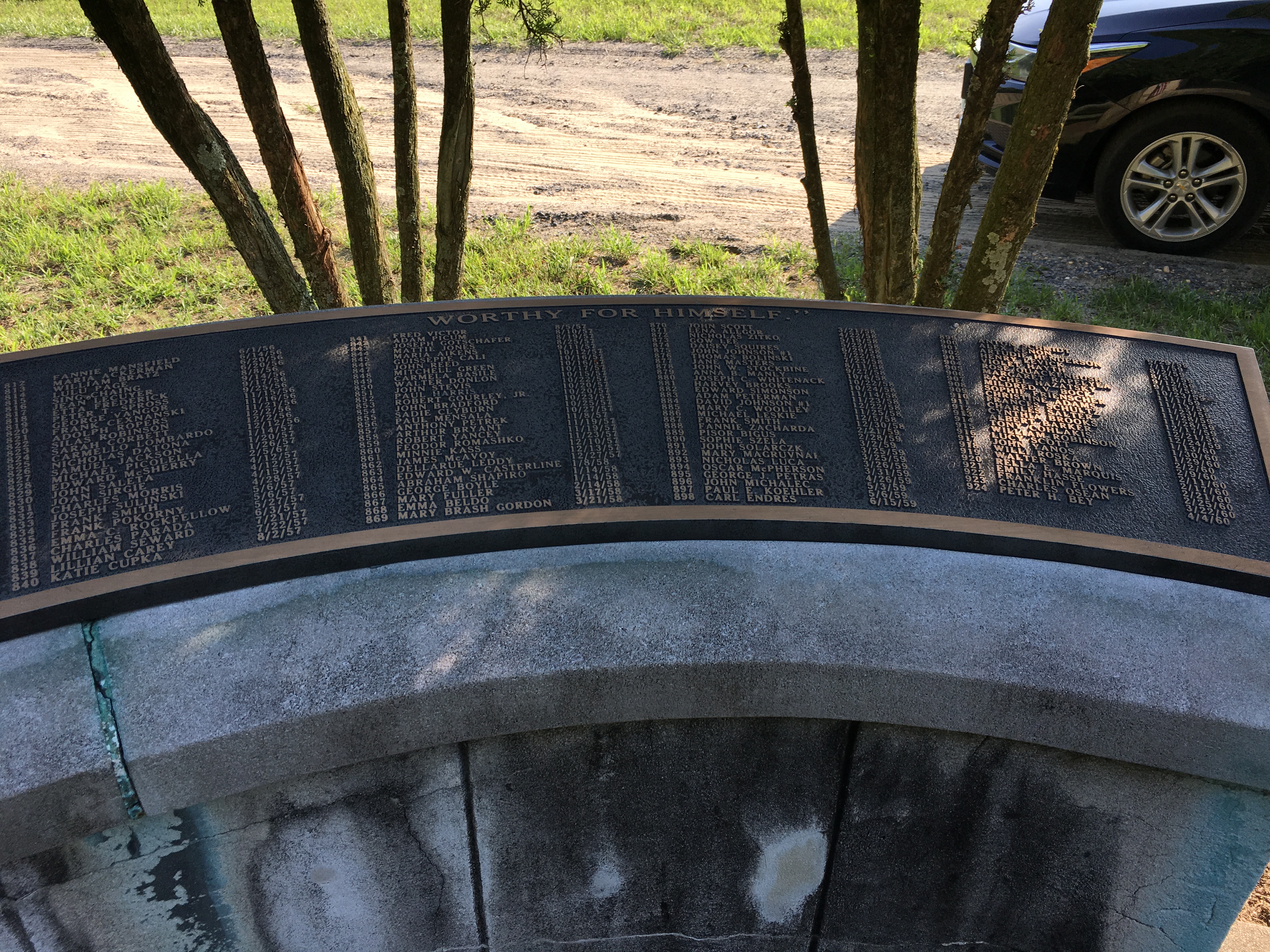 Photographed 18 May 2018.